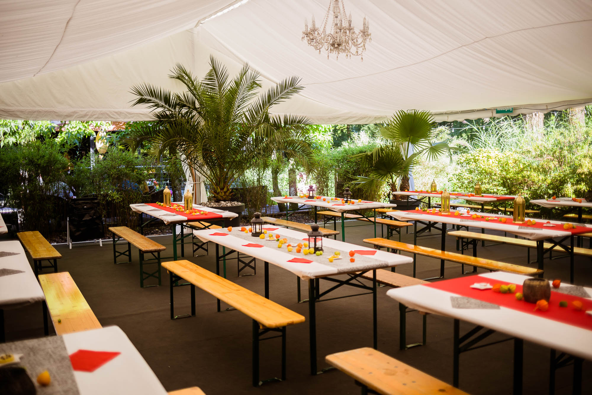 Export x3 5D4 2642 Party