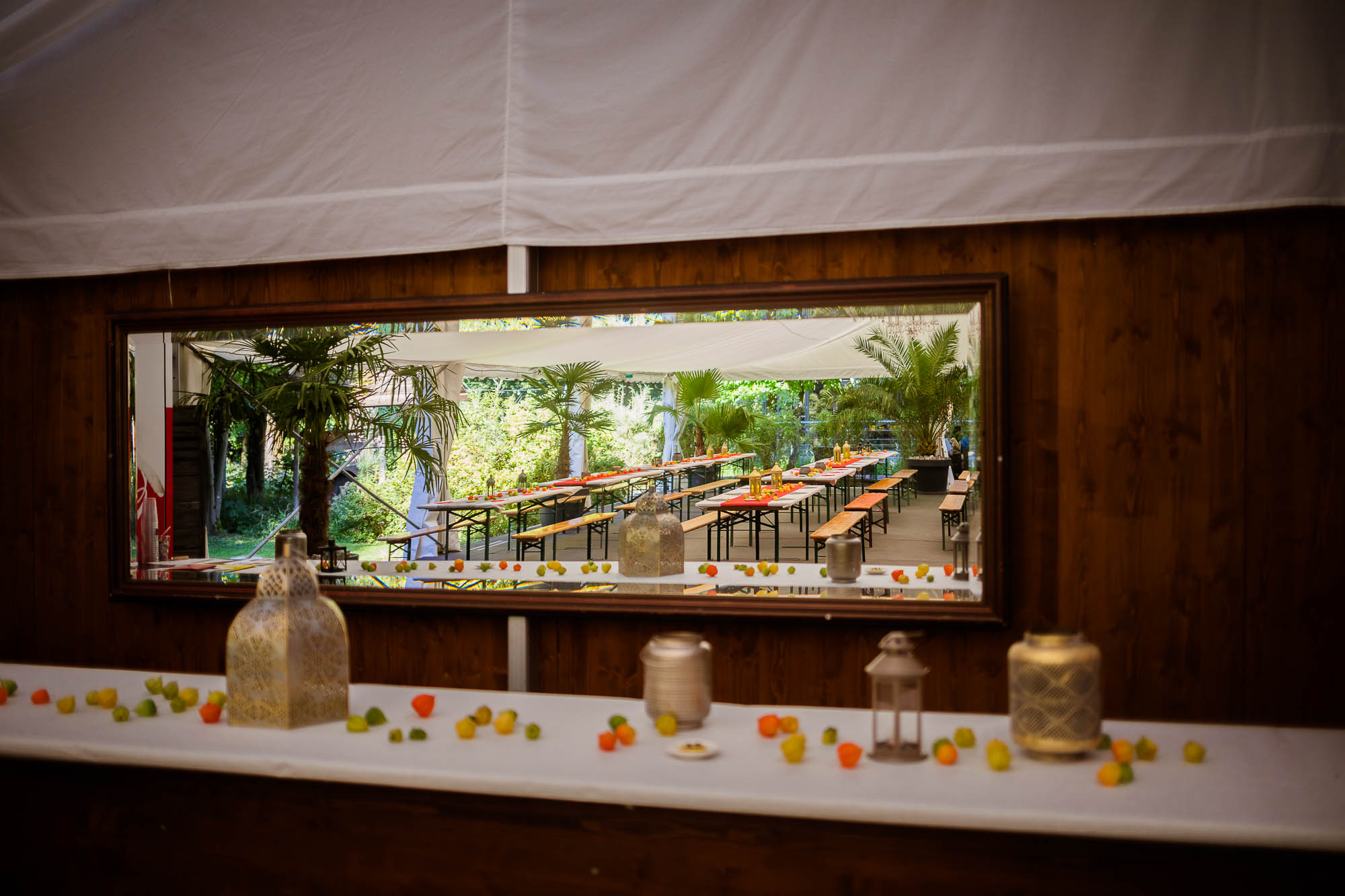 Export x3 5D4 2644 Party