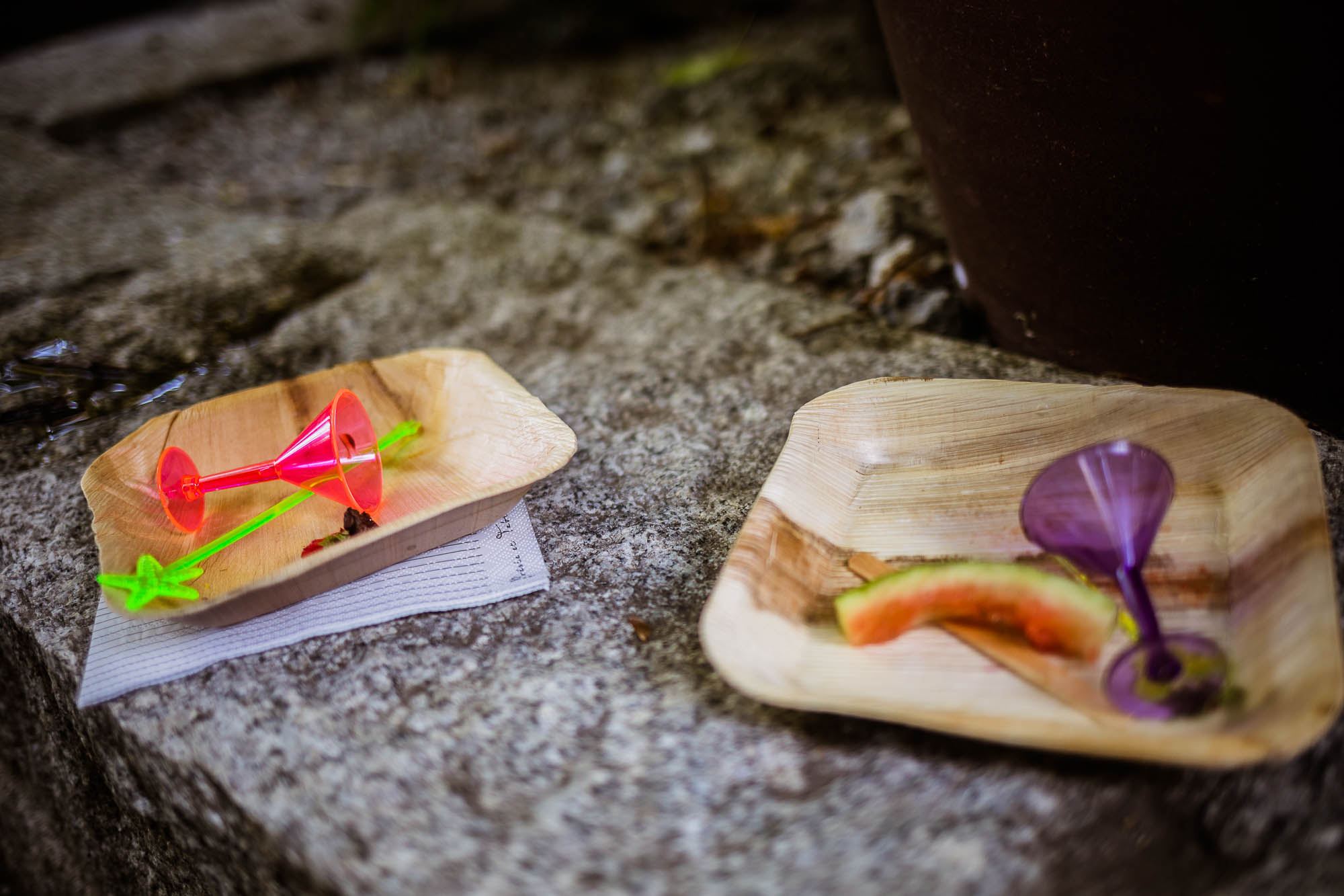 Export x3 5D4 2655 Party