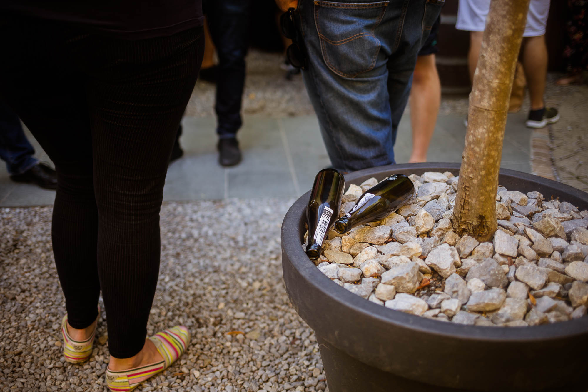 Export x3 5D4 2668 Party