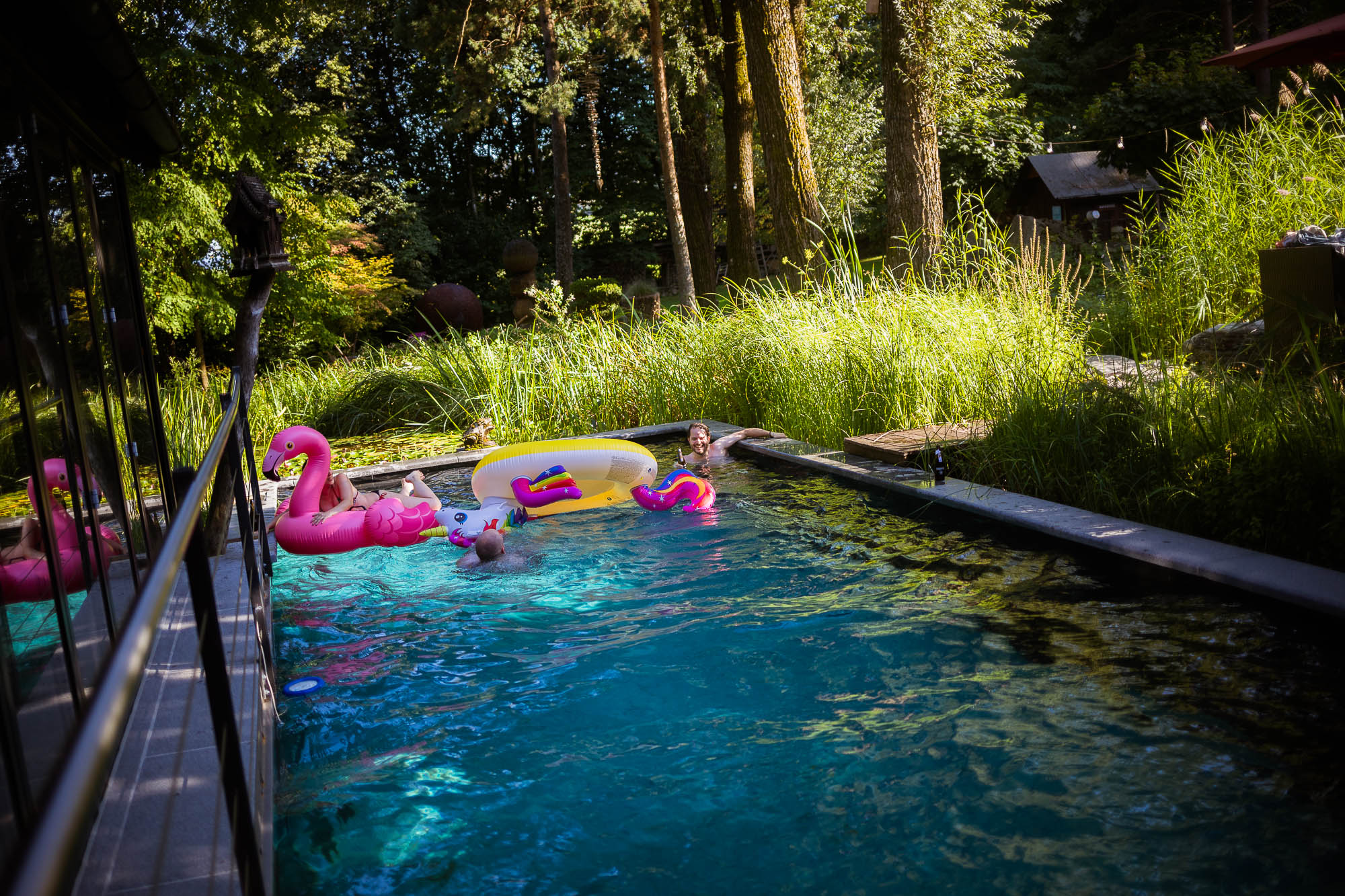 Export x3 5D4 2677 Party