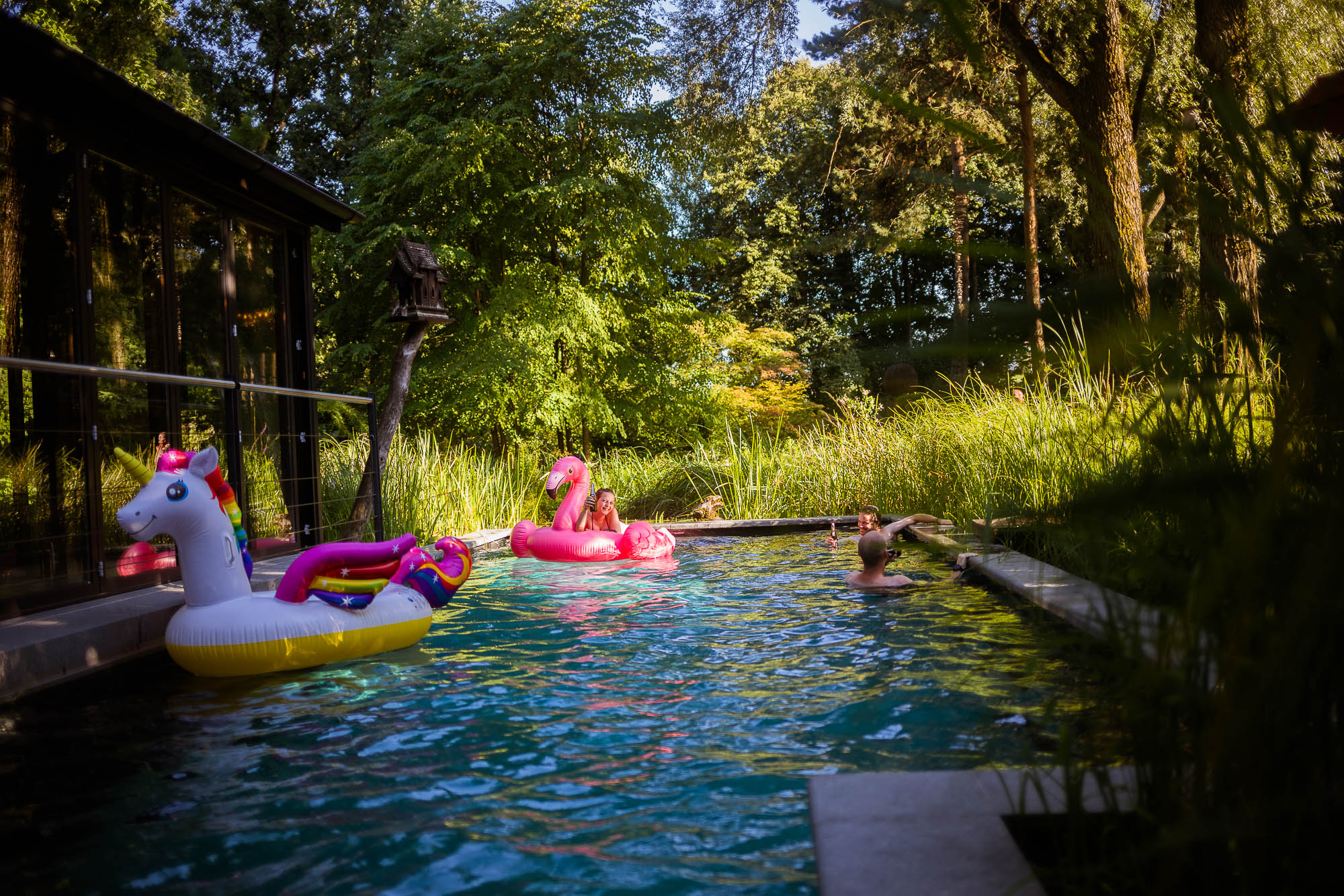 Export x3 5D4 2679 Party