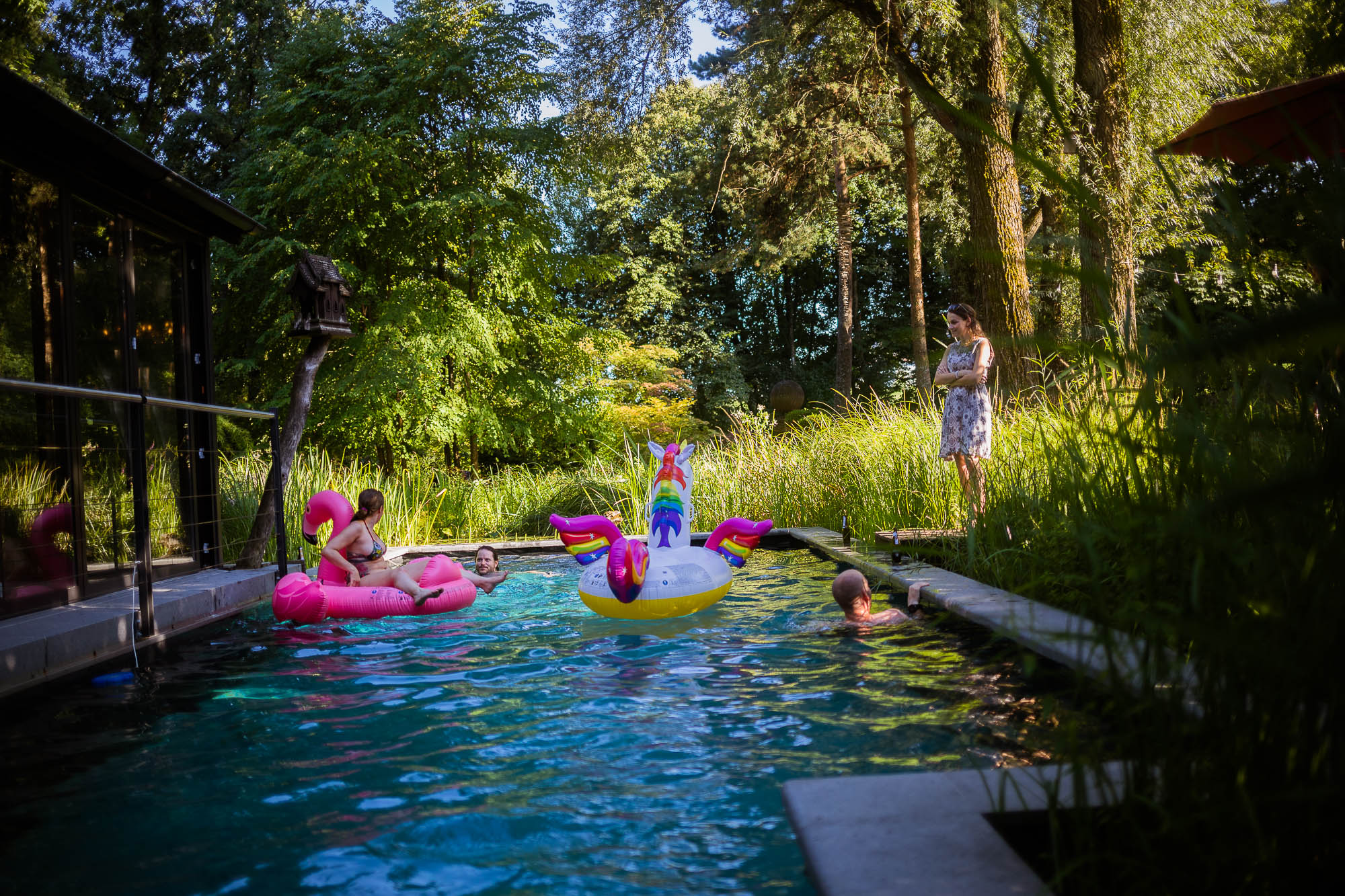 Export x3 5D4 2682 Party