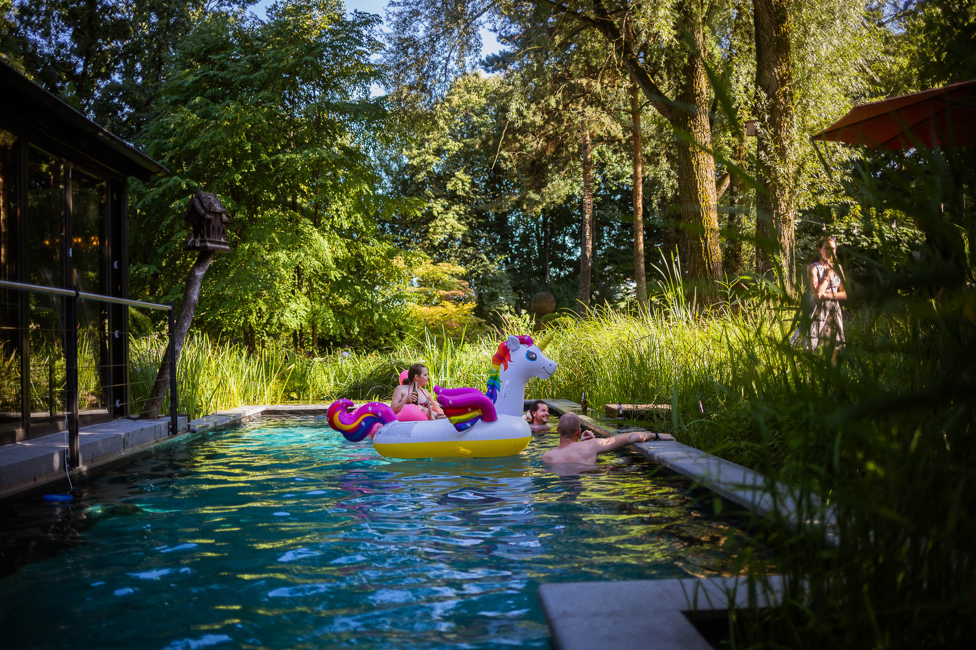 Export x3 5D4 2683 Party