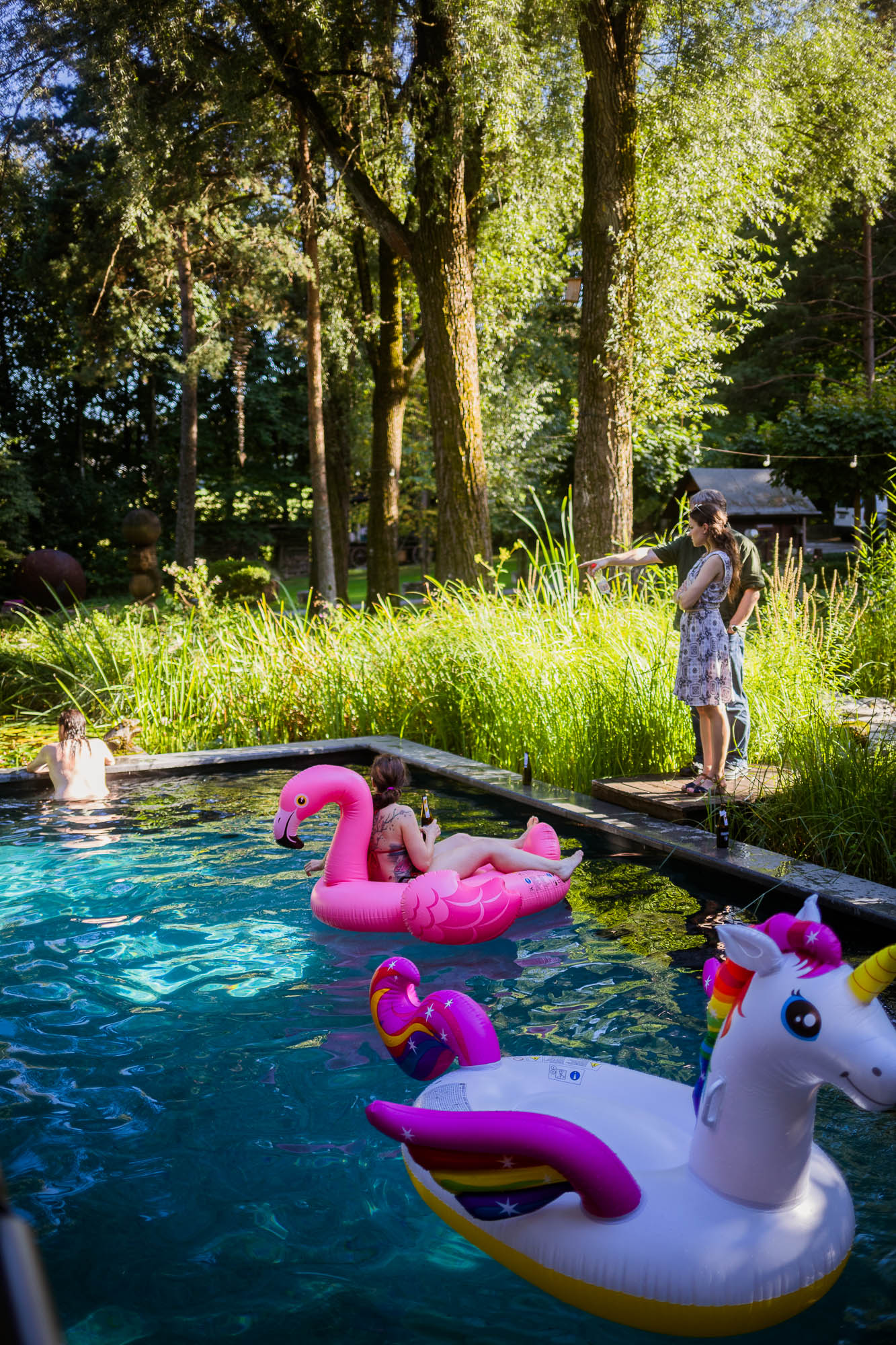 Export x3 5D4 2684 Party