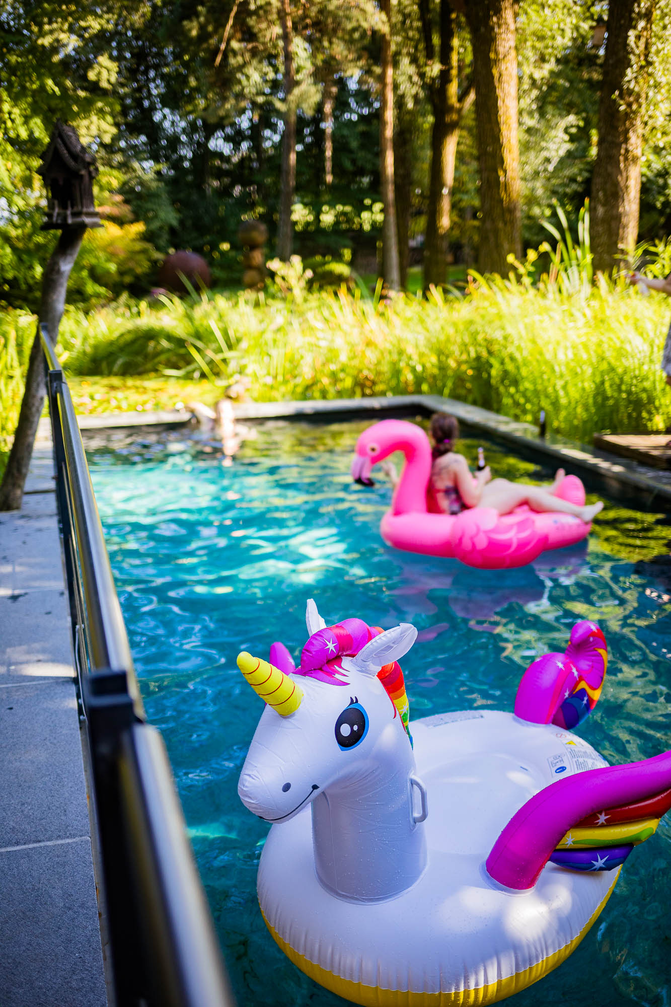 Export x3 5D4 2686 Party