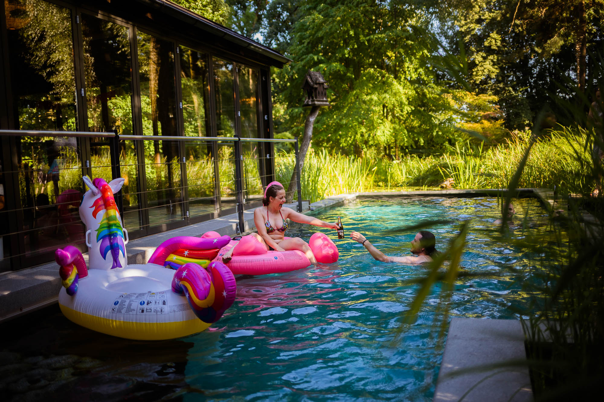 Export x3 5D4 2687 Party