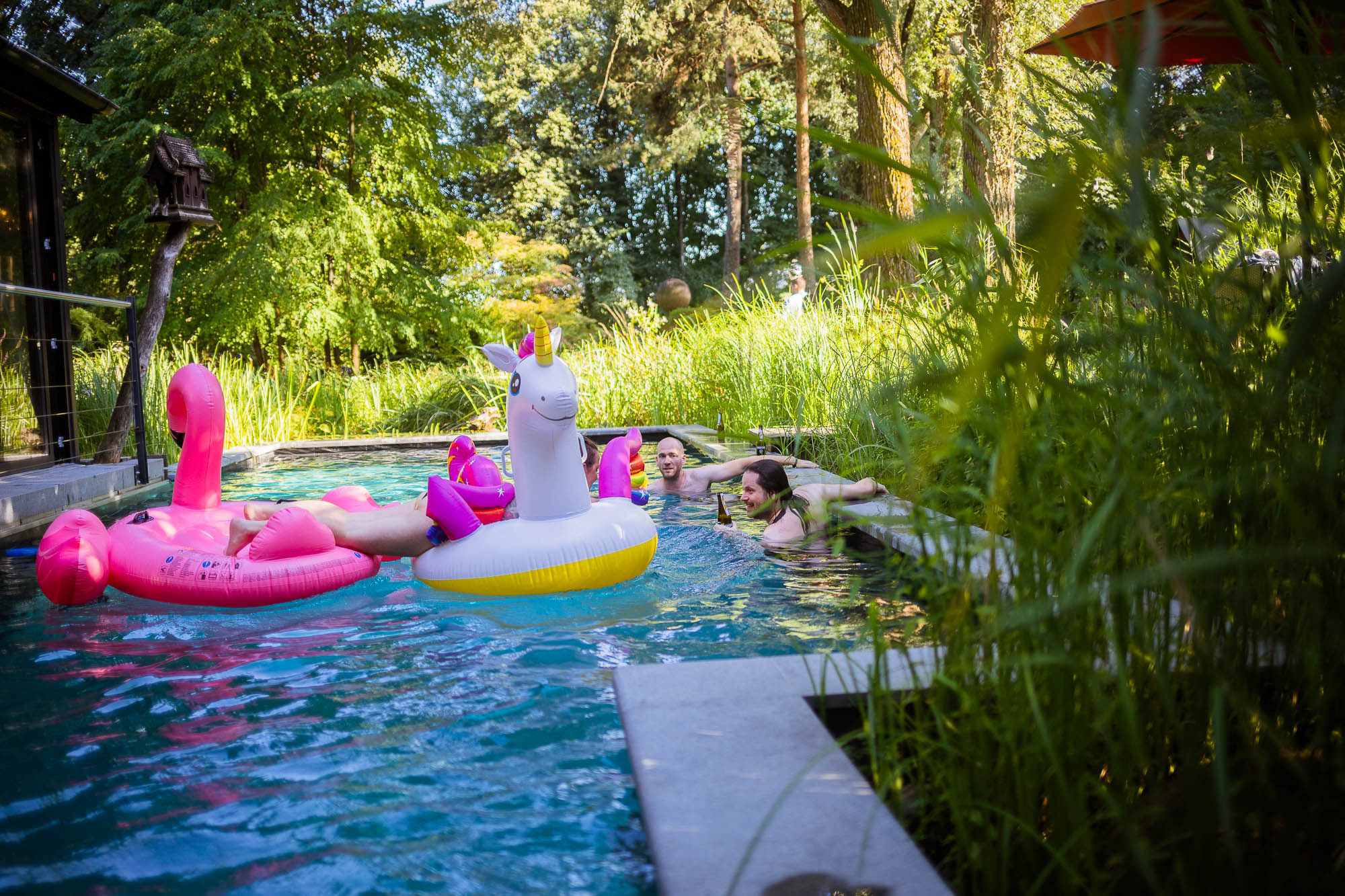 Export x3 5D4 2702 Party