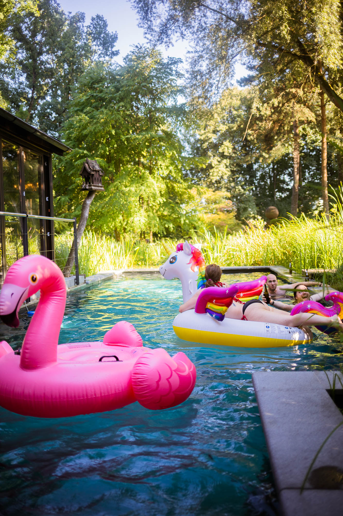 Export x3 5D4 2712 Party