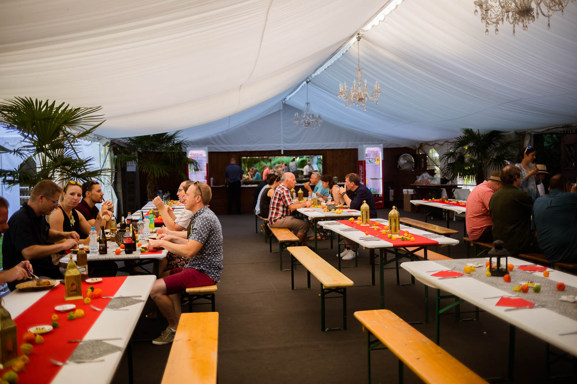 Export x3 5D4 2773 Party