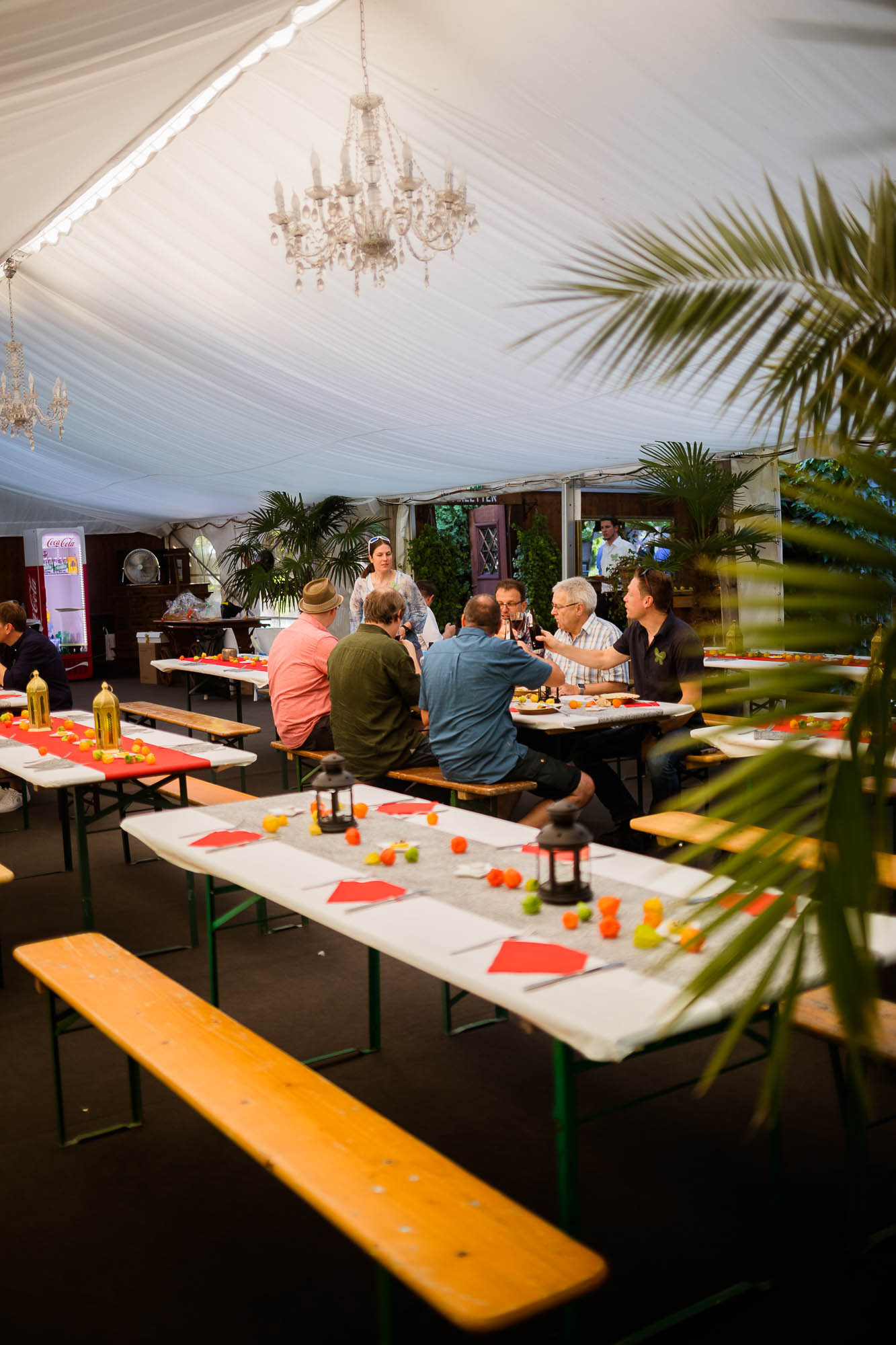 Export x3 5D4 2775 Party