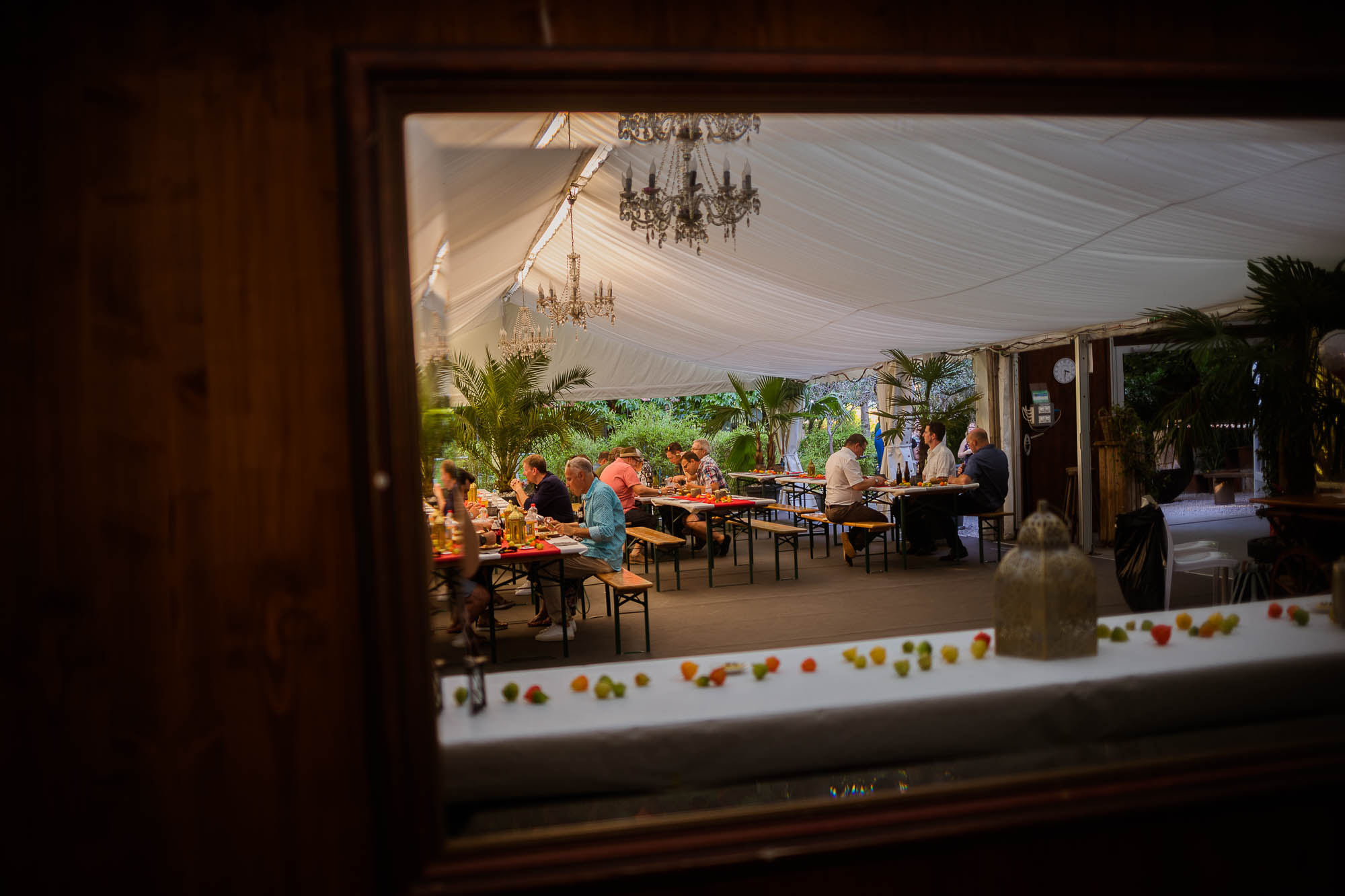 Export x3 5D4 2776 Party