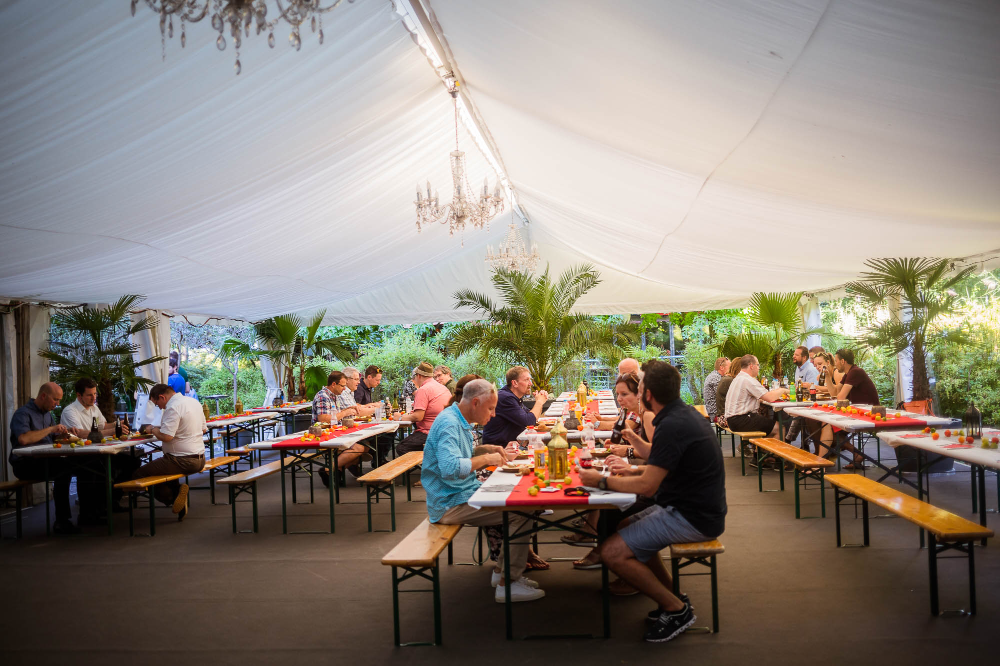 Export x3 5D4 2777 Party