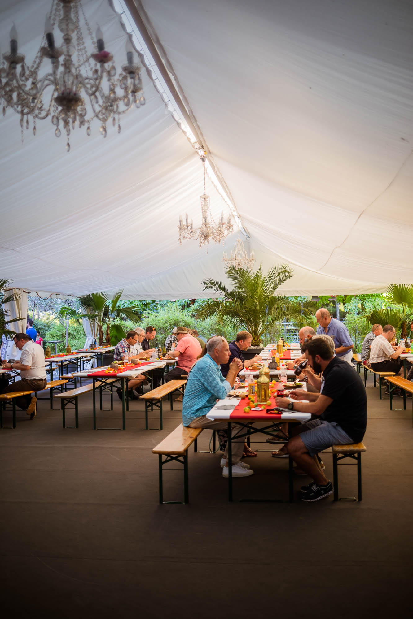 Export x3 5D4 2778 Party