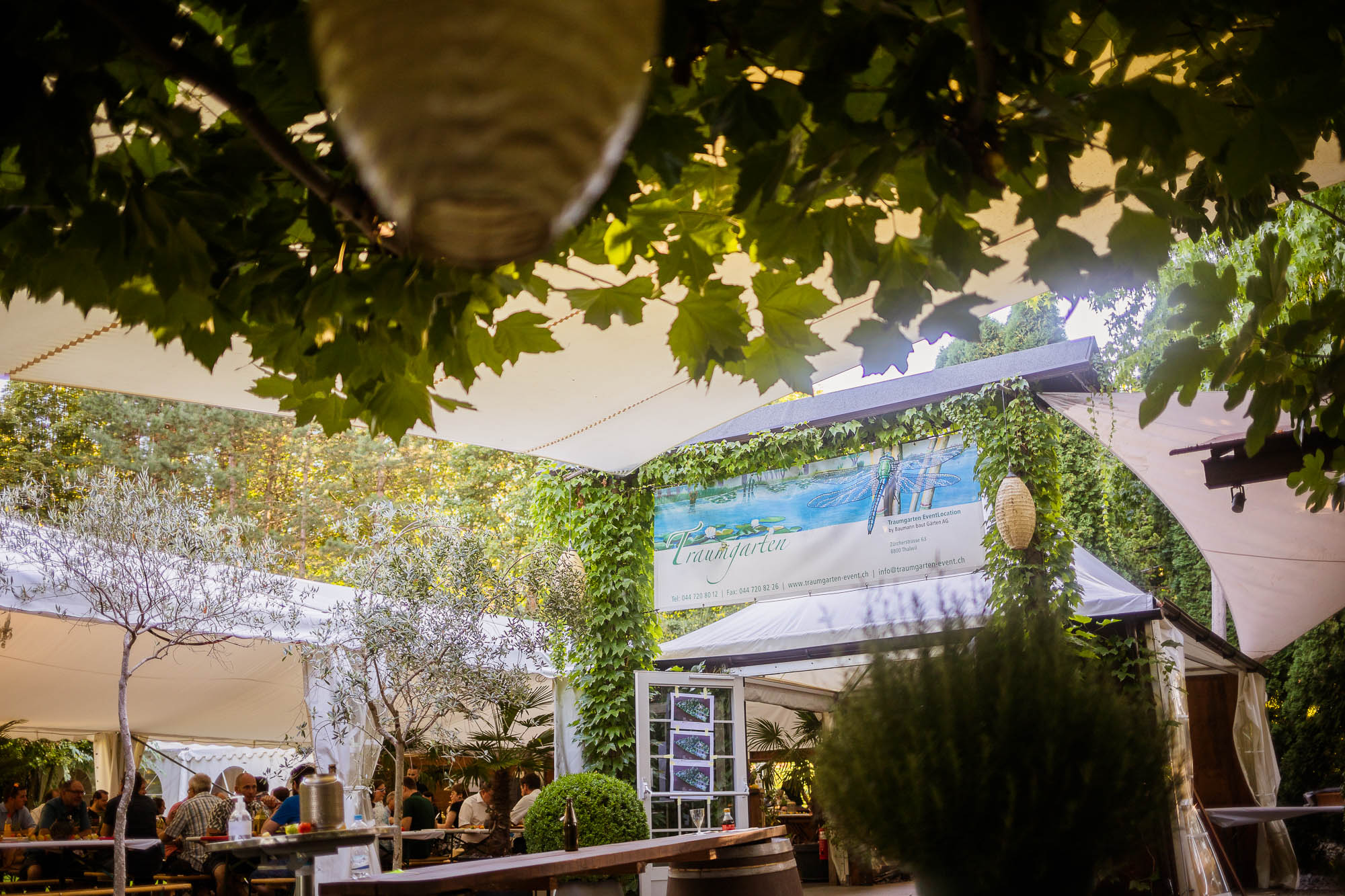 Export x3 5D4 2794 Party