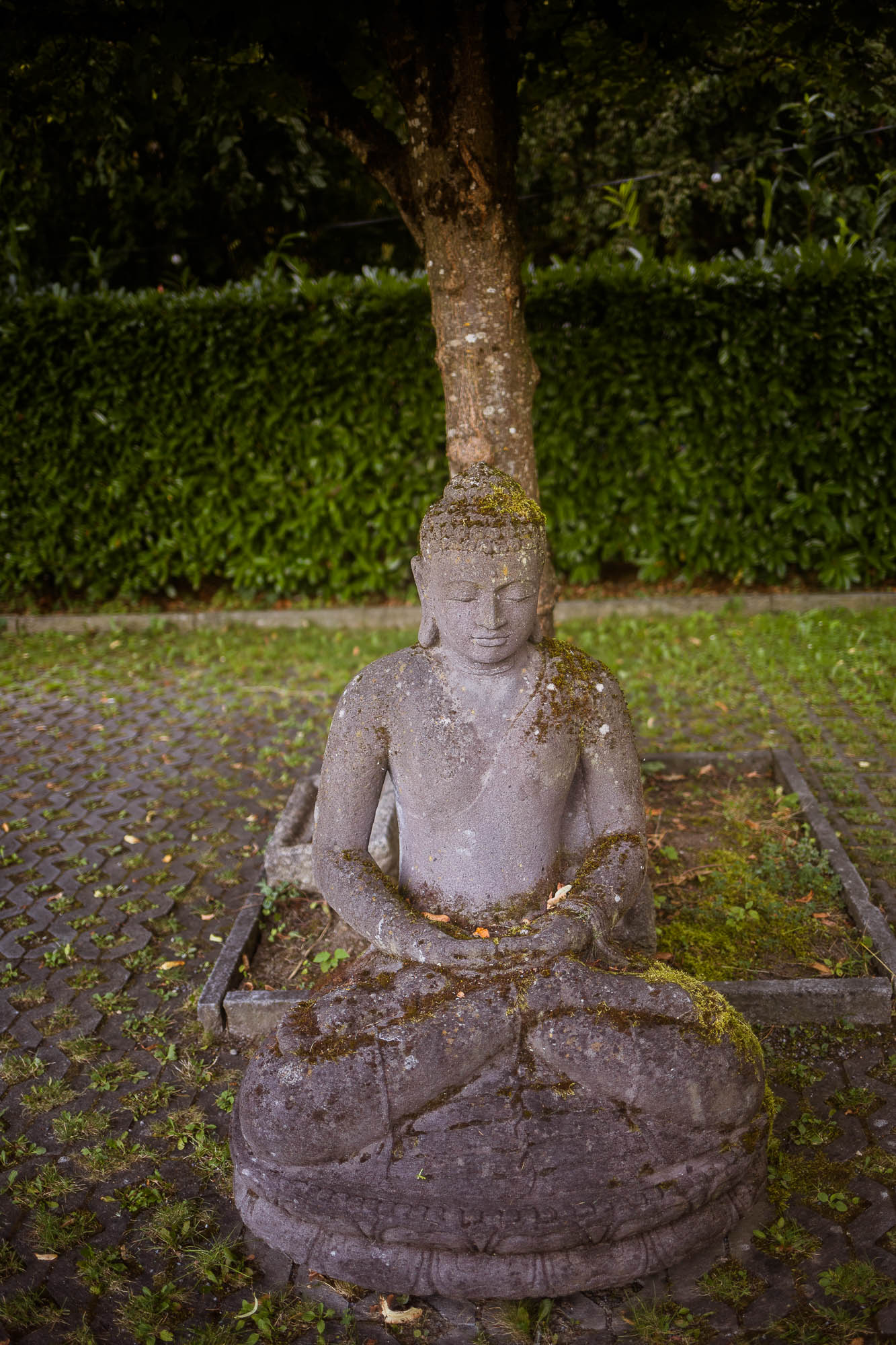 Export x3 5D4 2810 Party