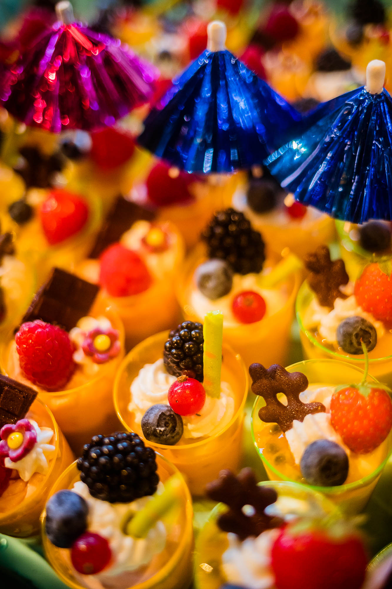 Export x3 5D4 2850 Party