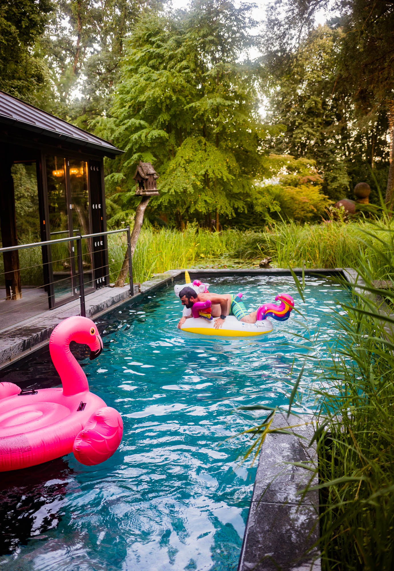 Export x3 5D4 2906 Party