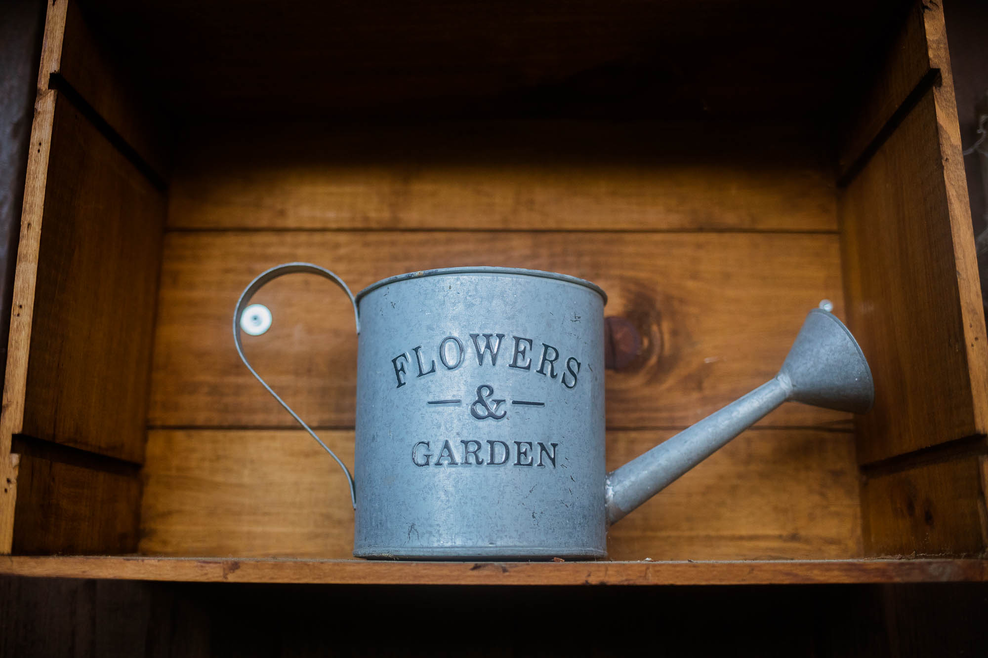 Export x3 5D4 2917 Party