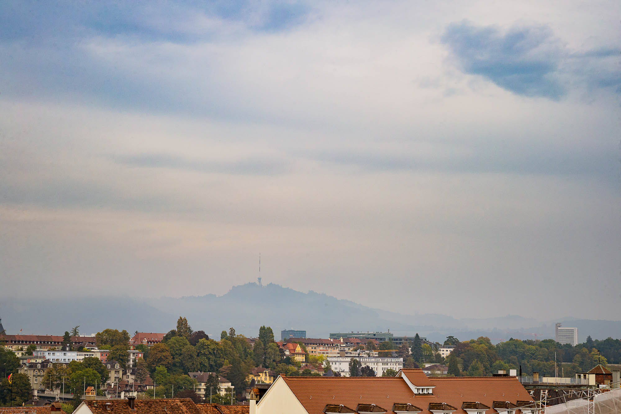 Export x3 1DX26819 Hochzeit