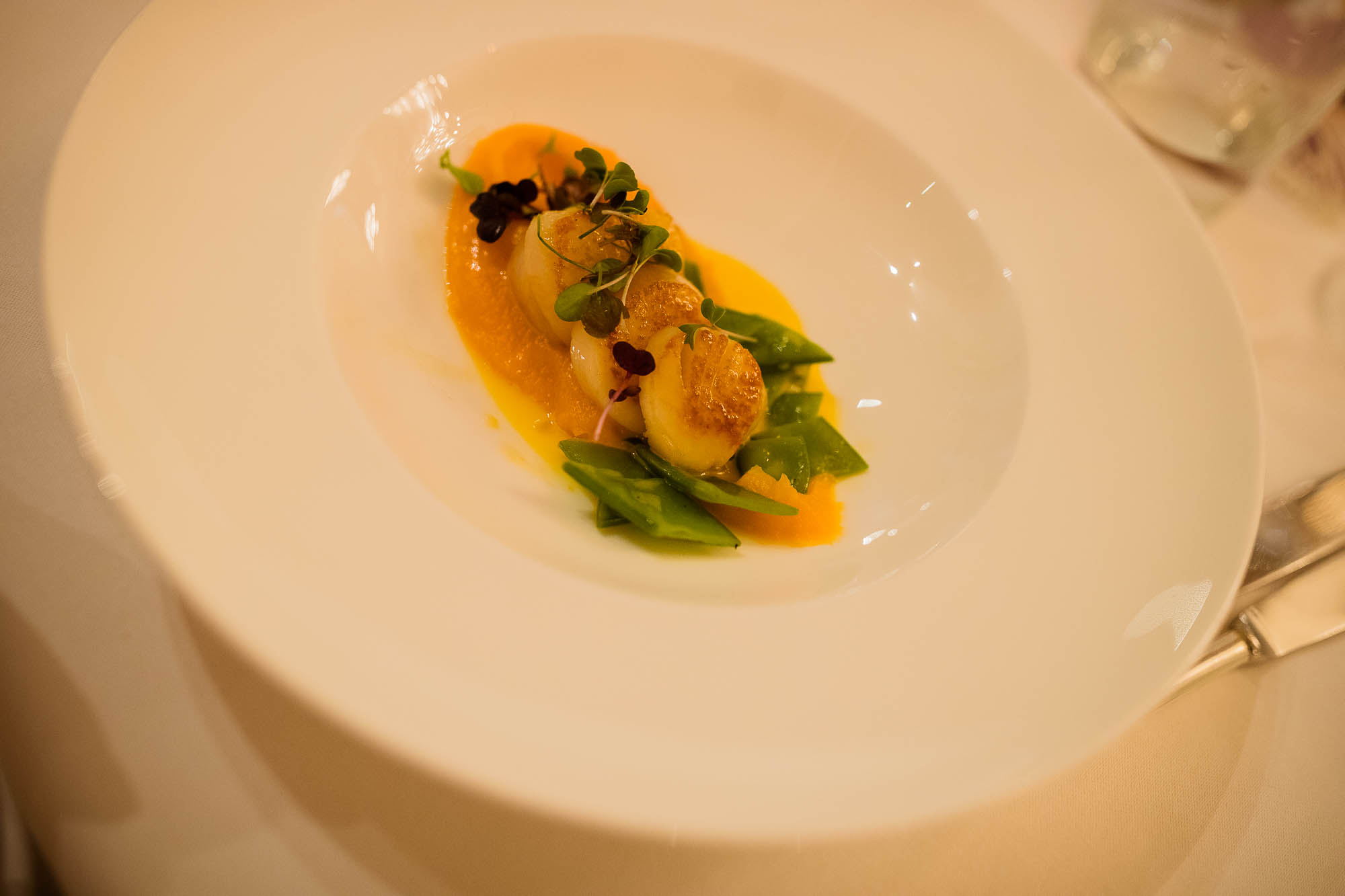 Export x3 1DX27492 Hochzeit