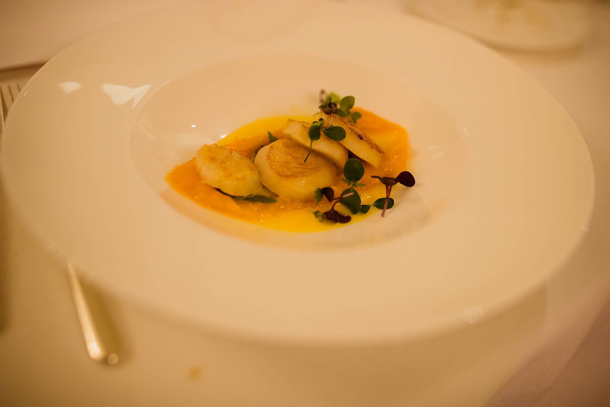 Export x3 1DX27494 Hochzeit