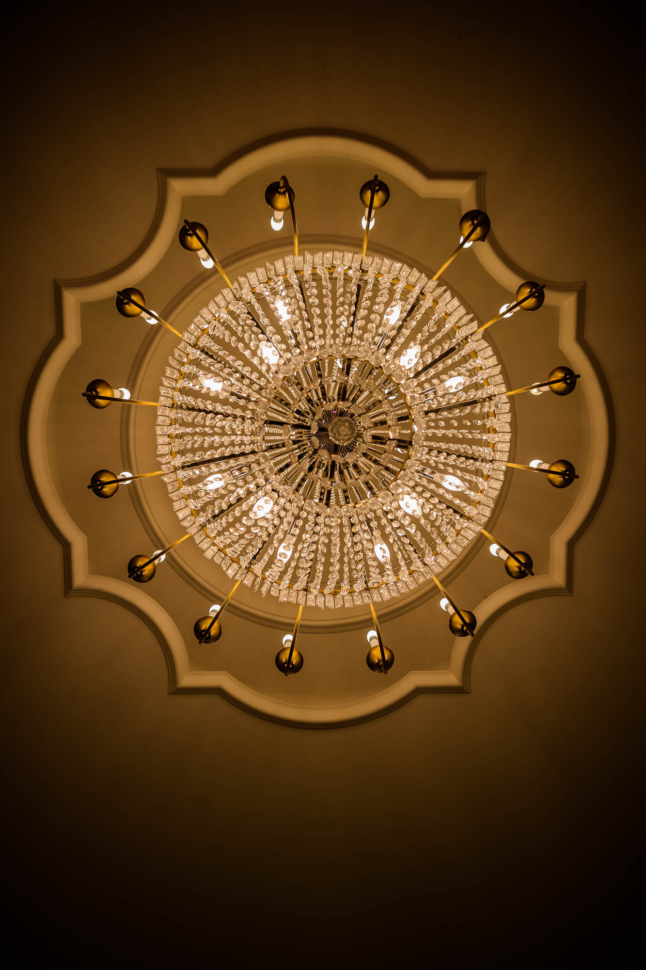 Export x3 1DX27764 Hochzeit