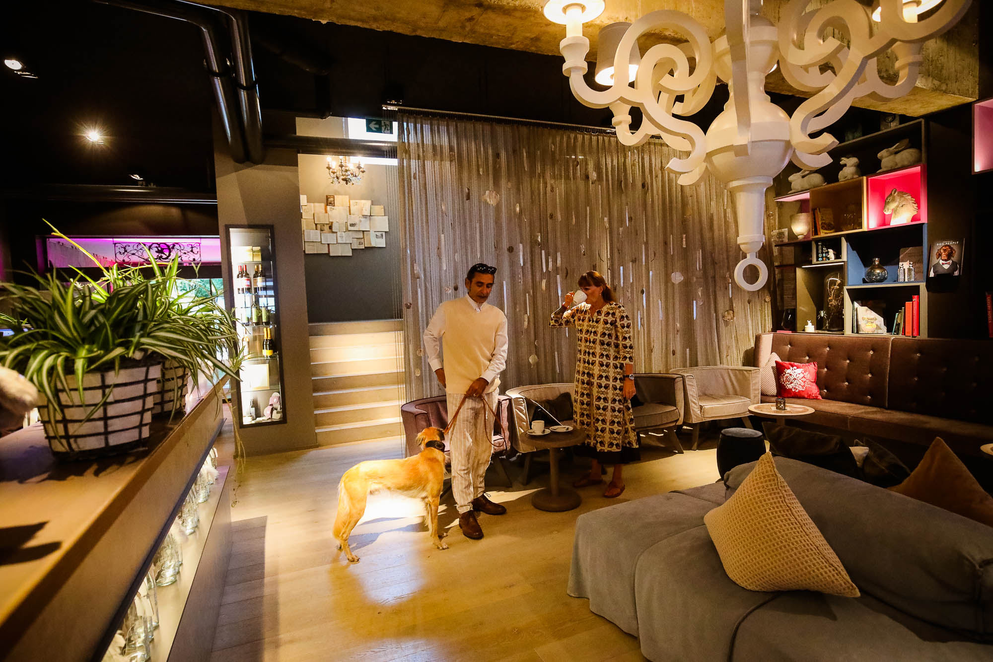 Export x3 5D4 9545 acceped