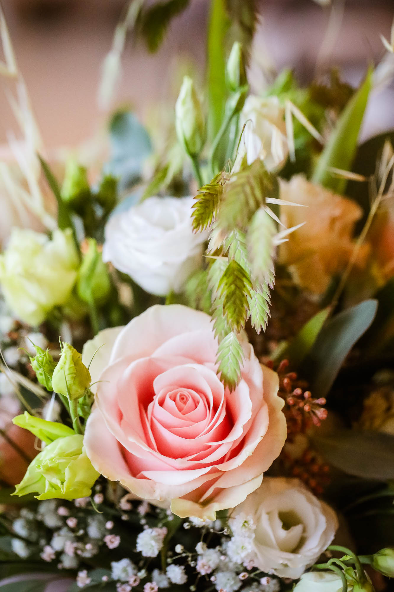 Export x3 5D4 9552 acceped