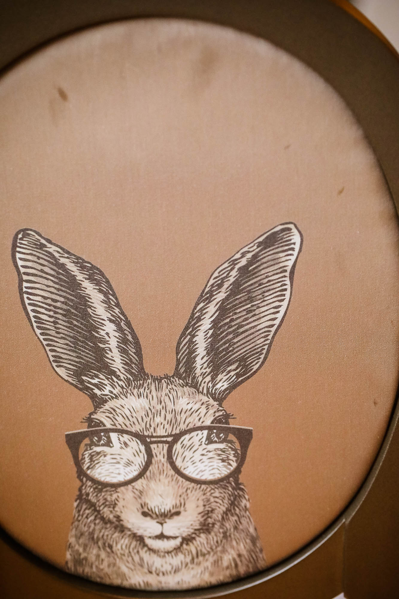 Export x3 5D4 9557 acceped