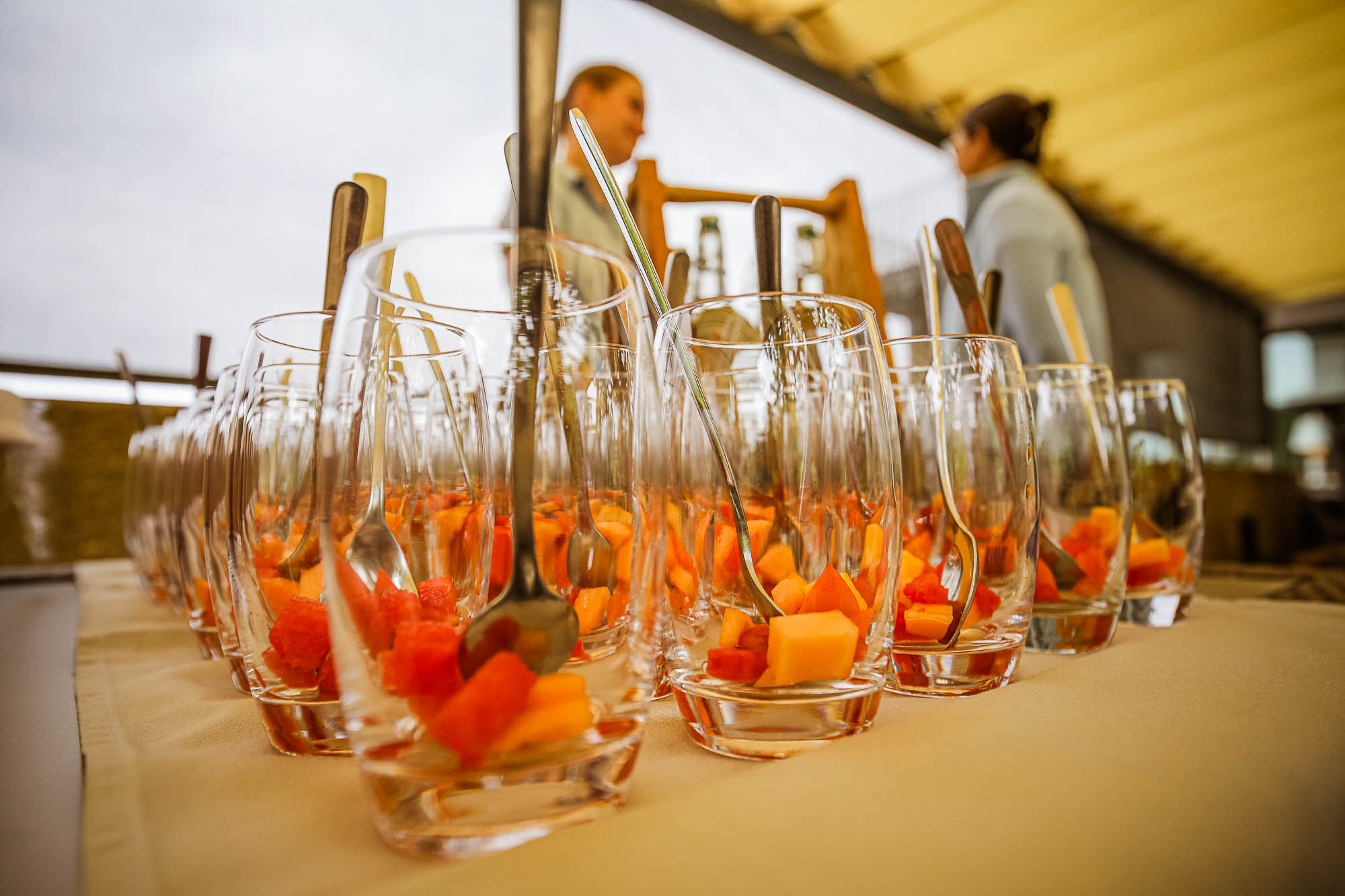 Export x3 5D4 9562 acceped