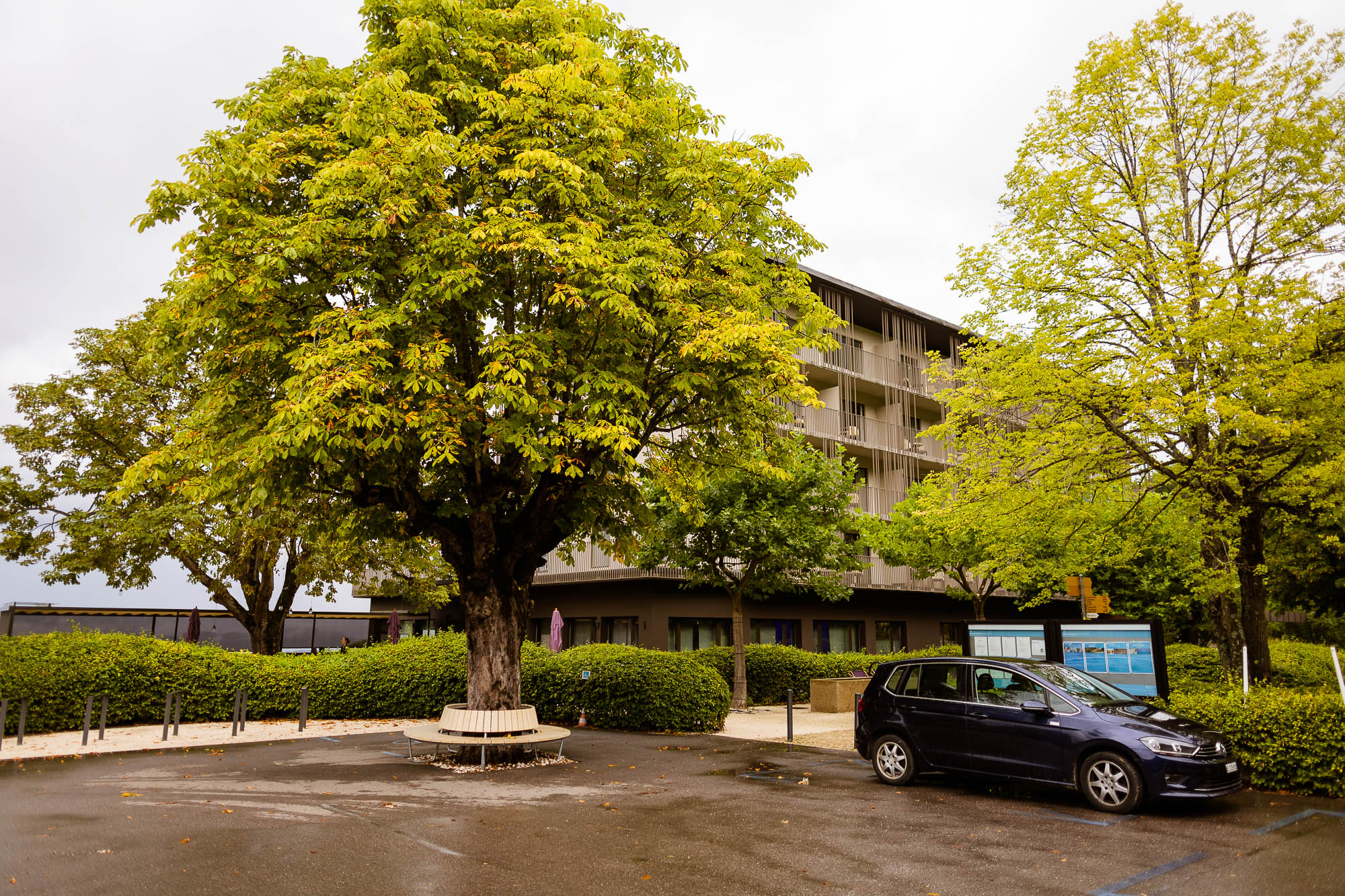 Export x3 R3  6391 acceped