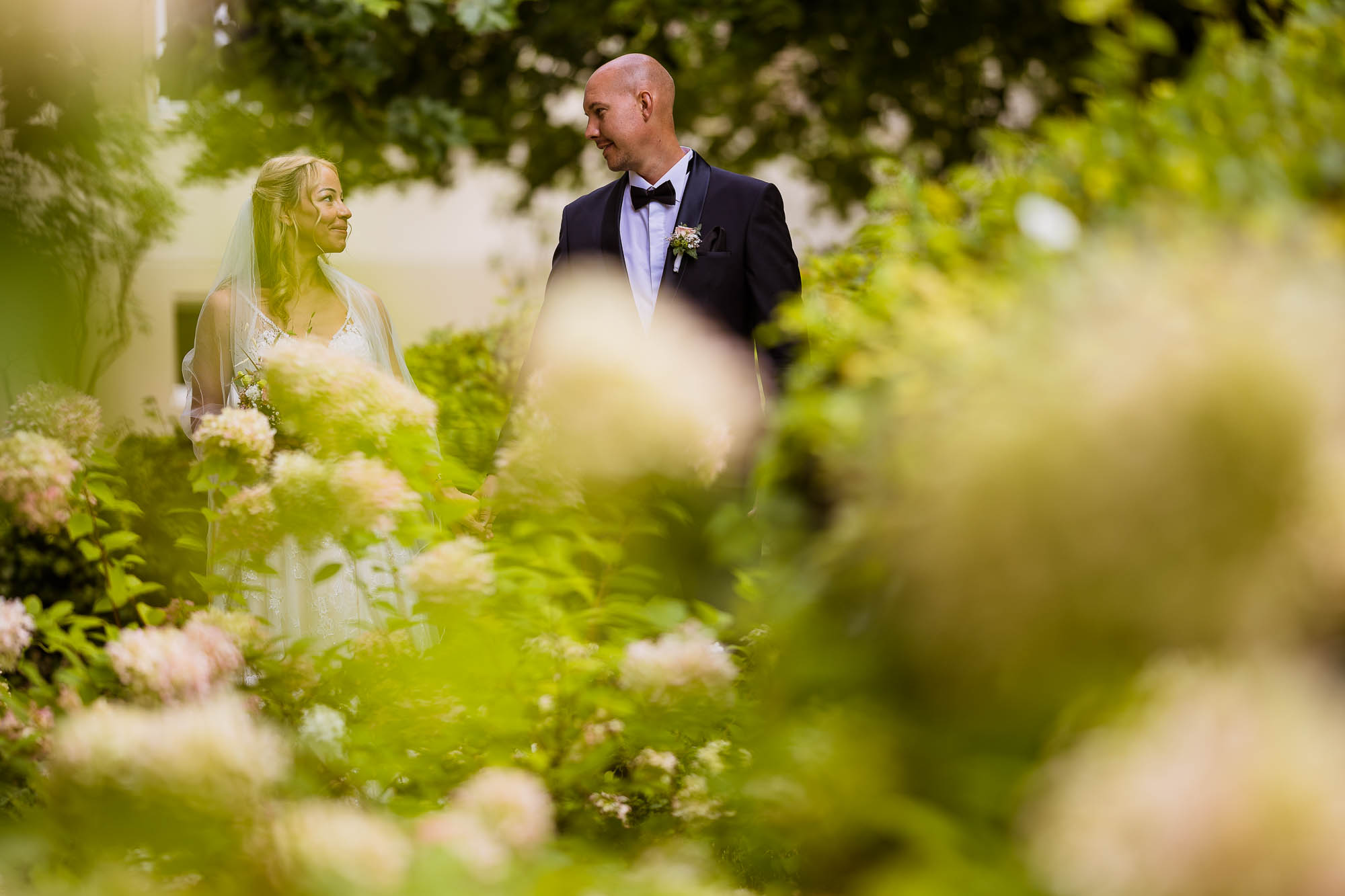 Export x3 R3  8001 acceped