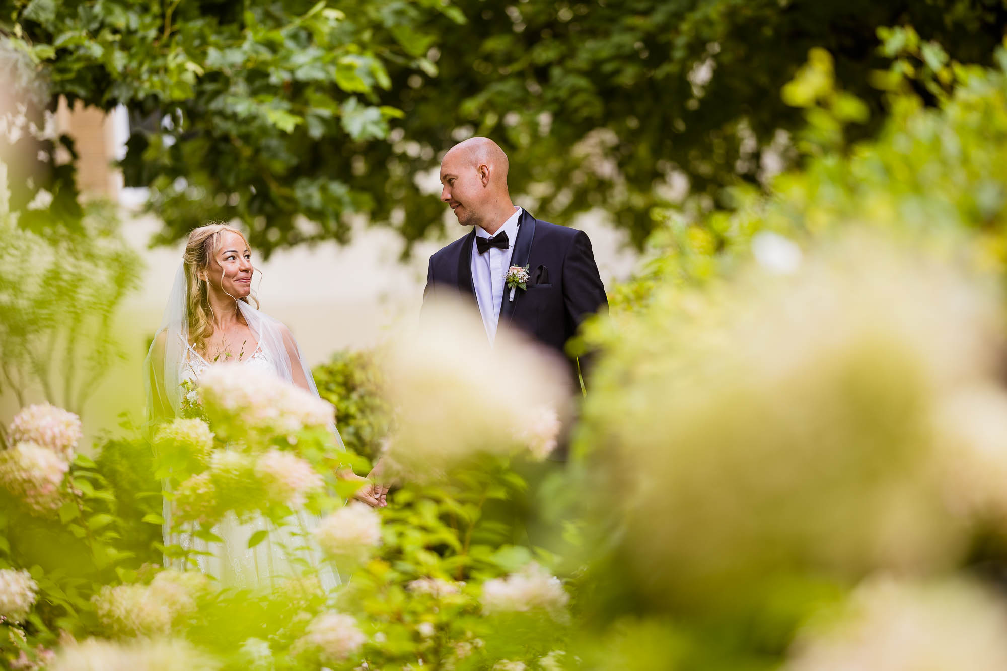 Export x3 R3  8020 acceped