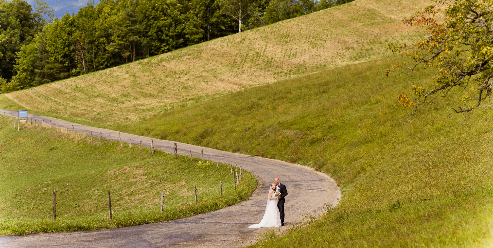 Export x3 R3  8161 Pano acceped