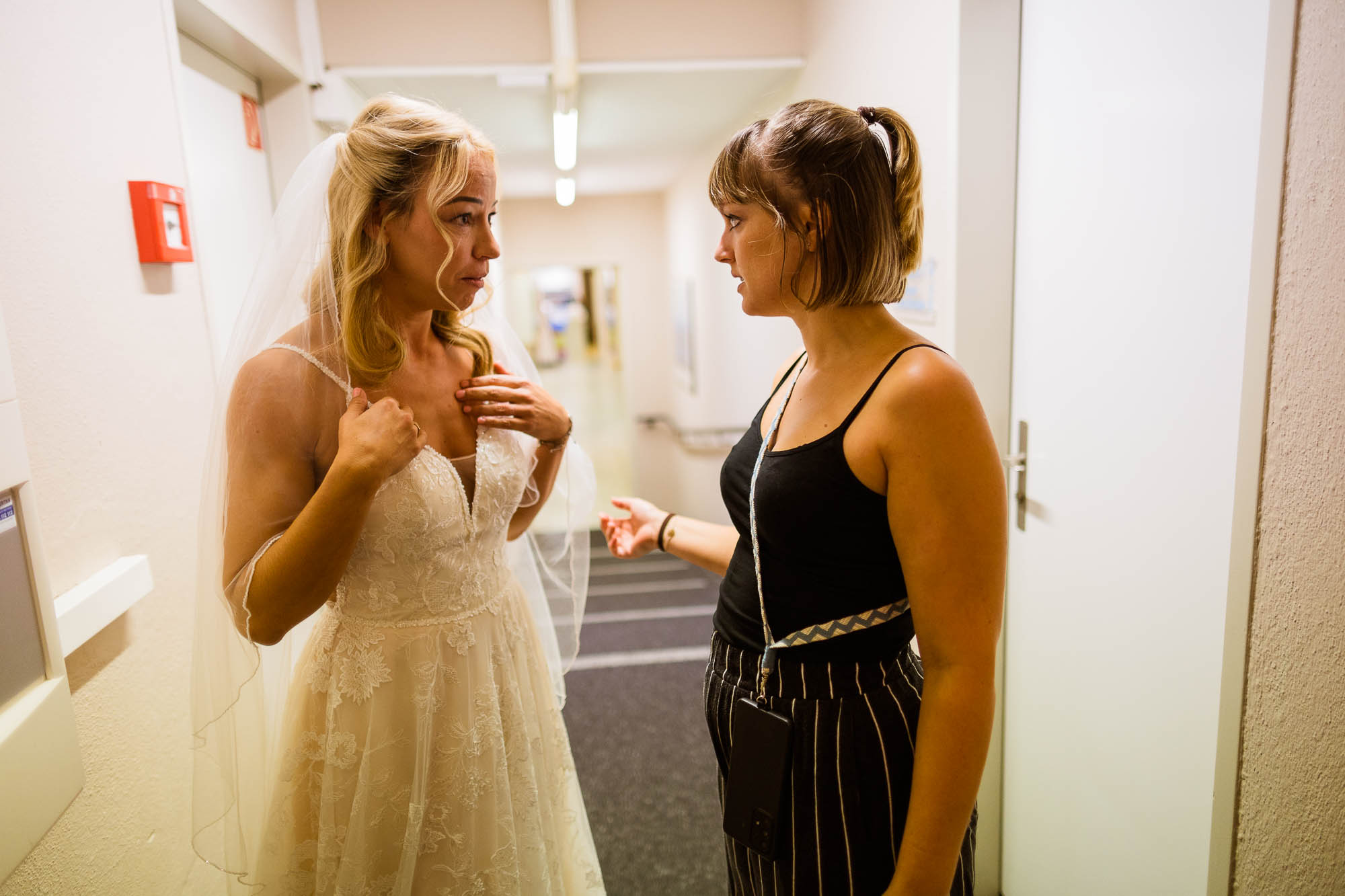 Export x3 R3  6635 acceped