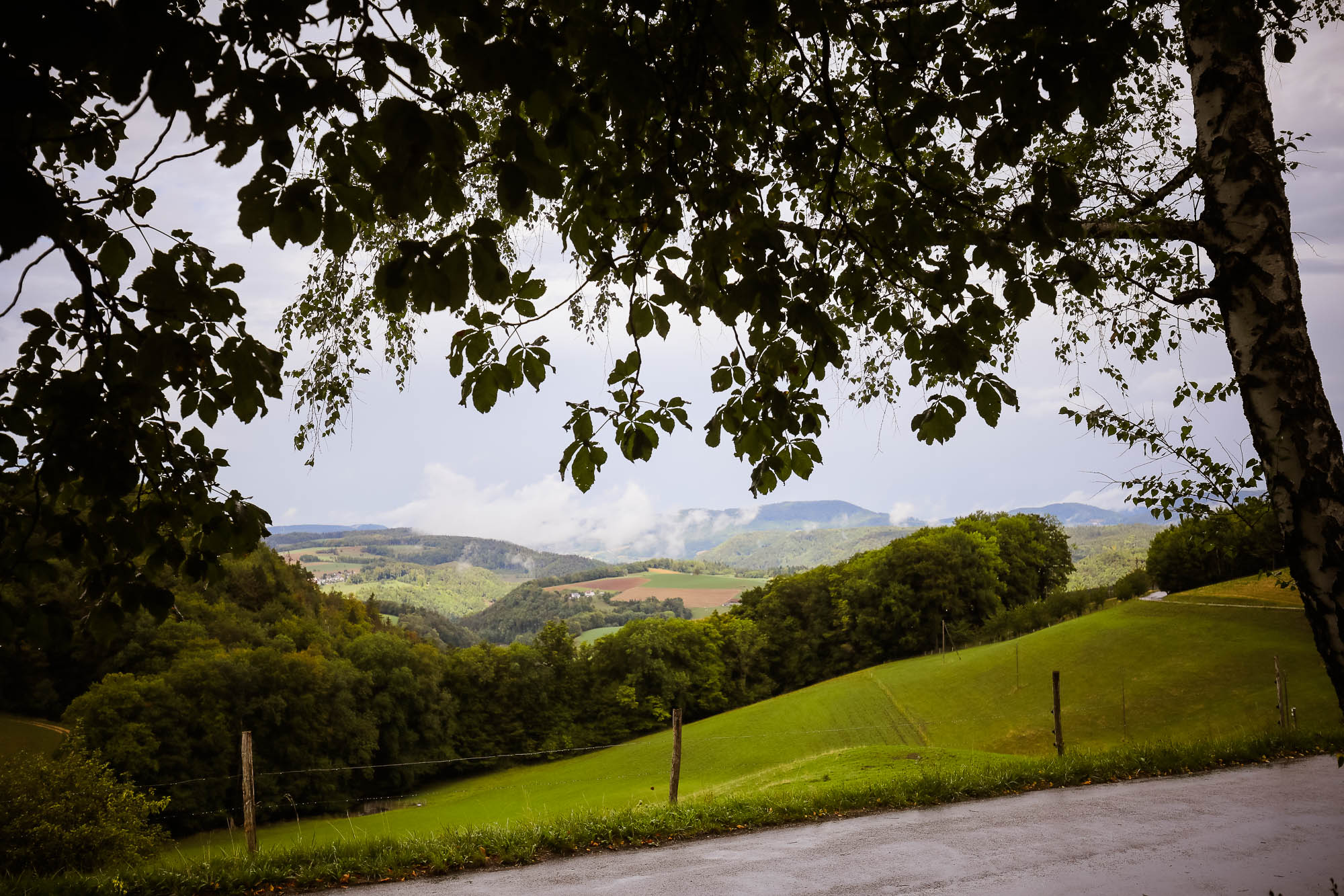 Export x3 5D4 9748 acceped