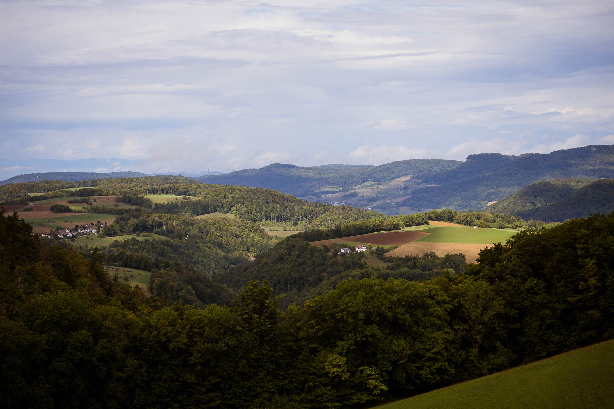 Export x3 R3  7737 acceped