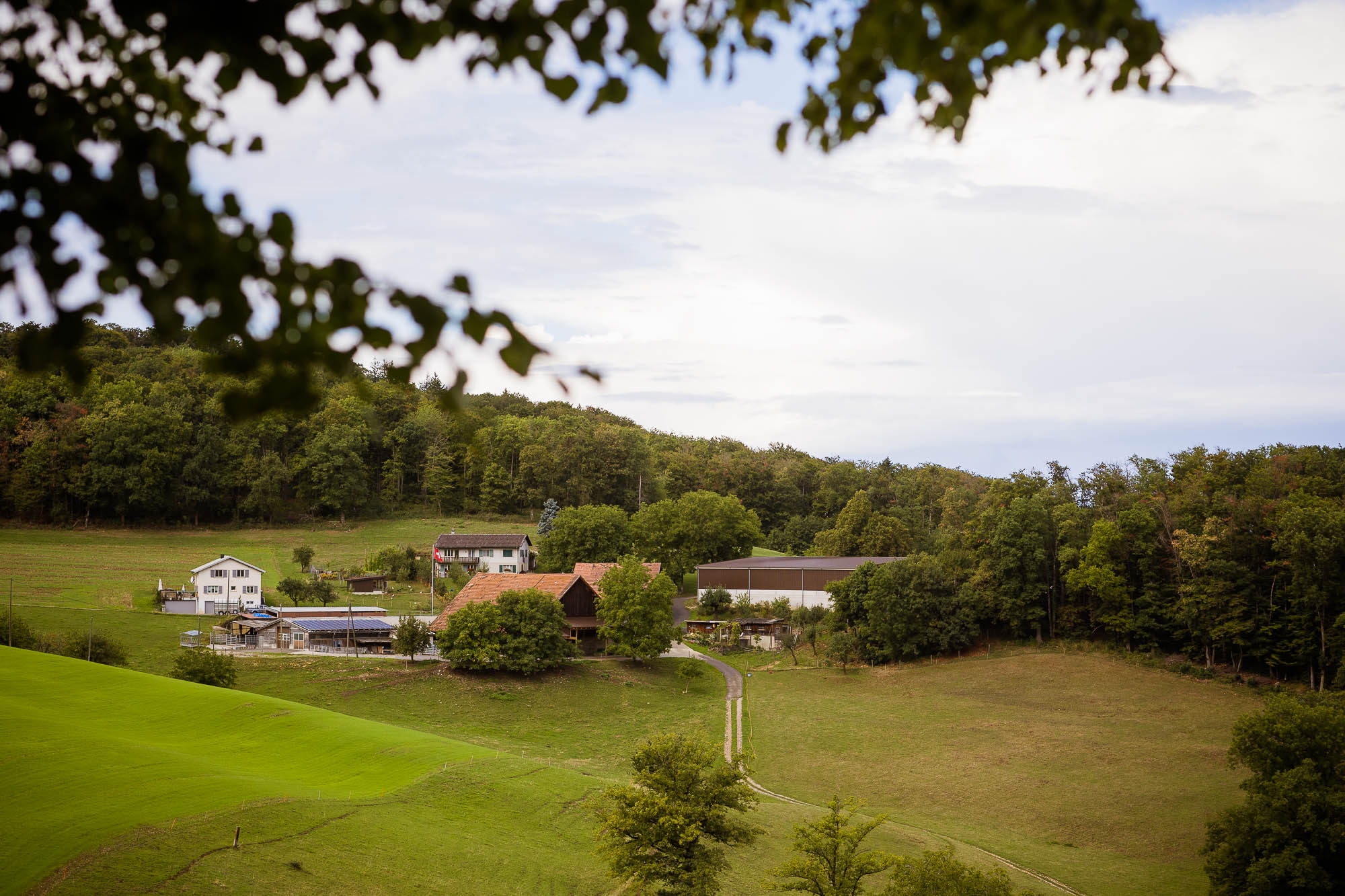 Export x3 R3  7739 acceped