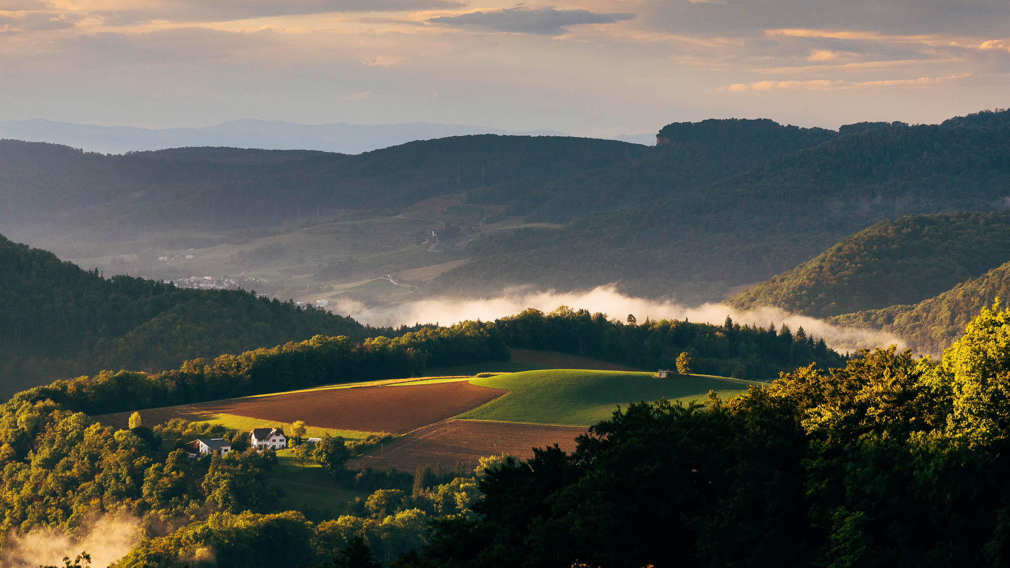 Export x3 R3  9027 acceped