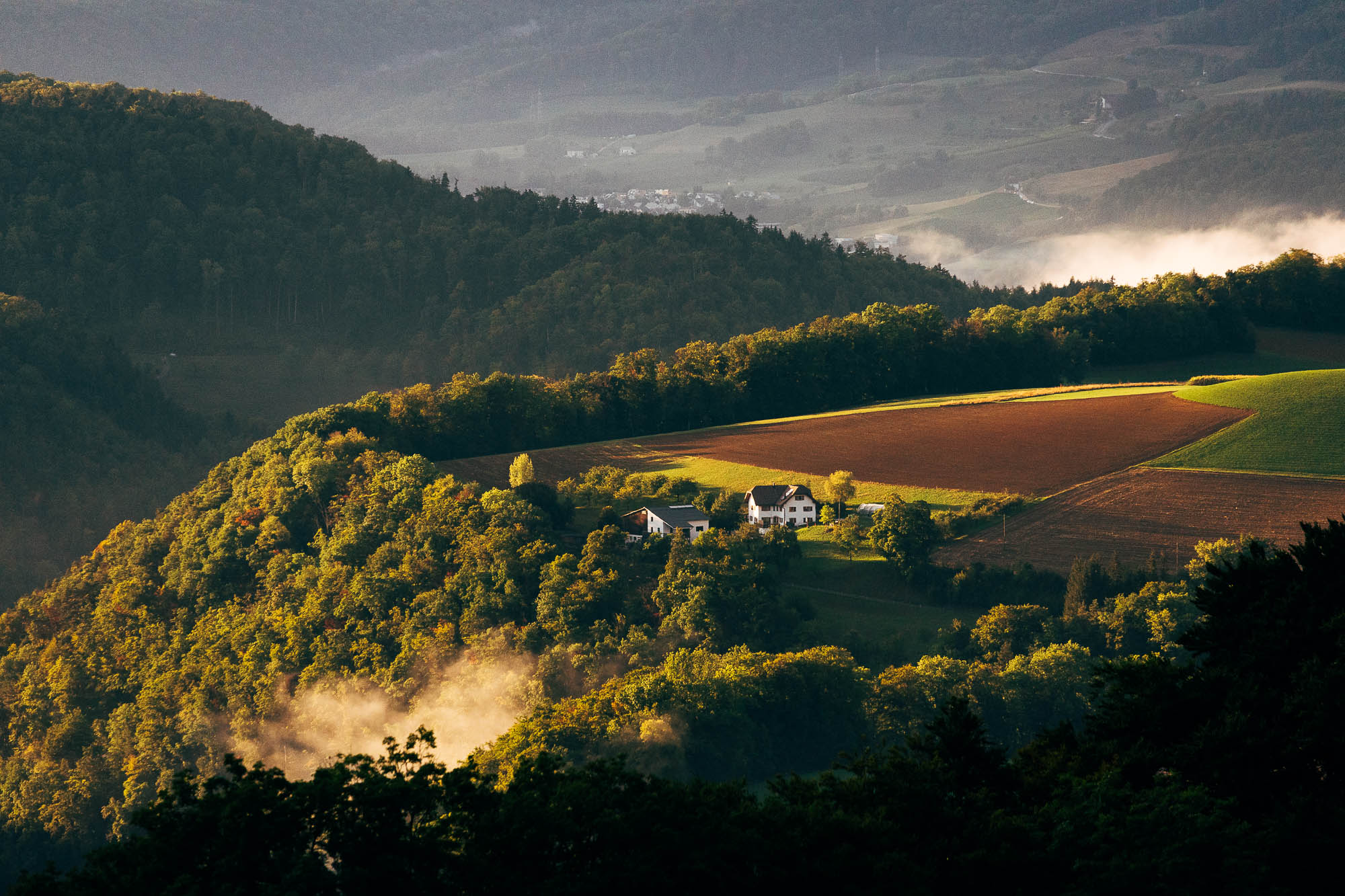 Export x3 R3  9028 acceped