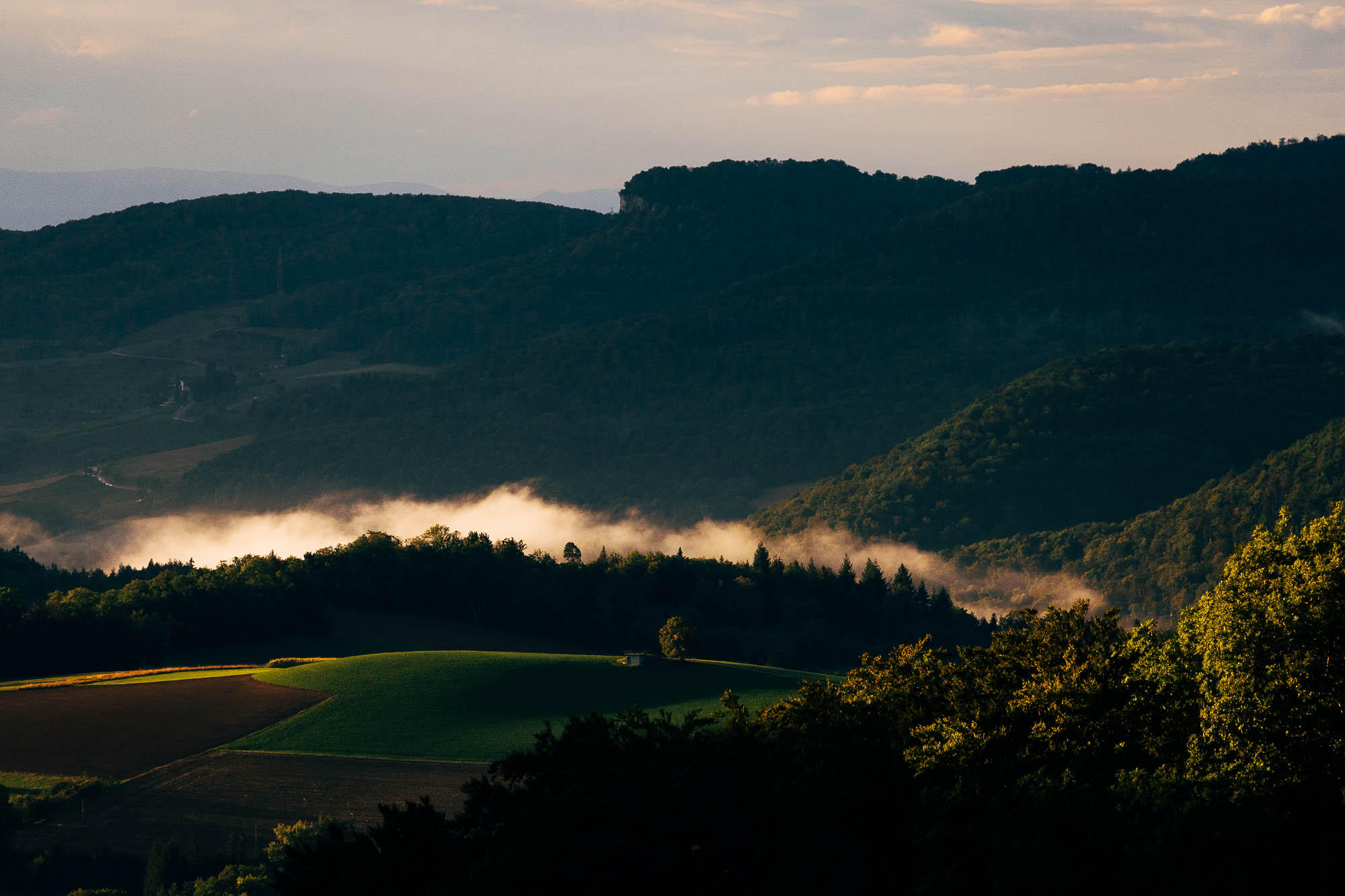 Export x3 R3  9029 acceped