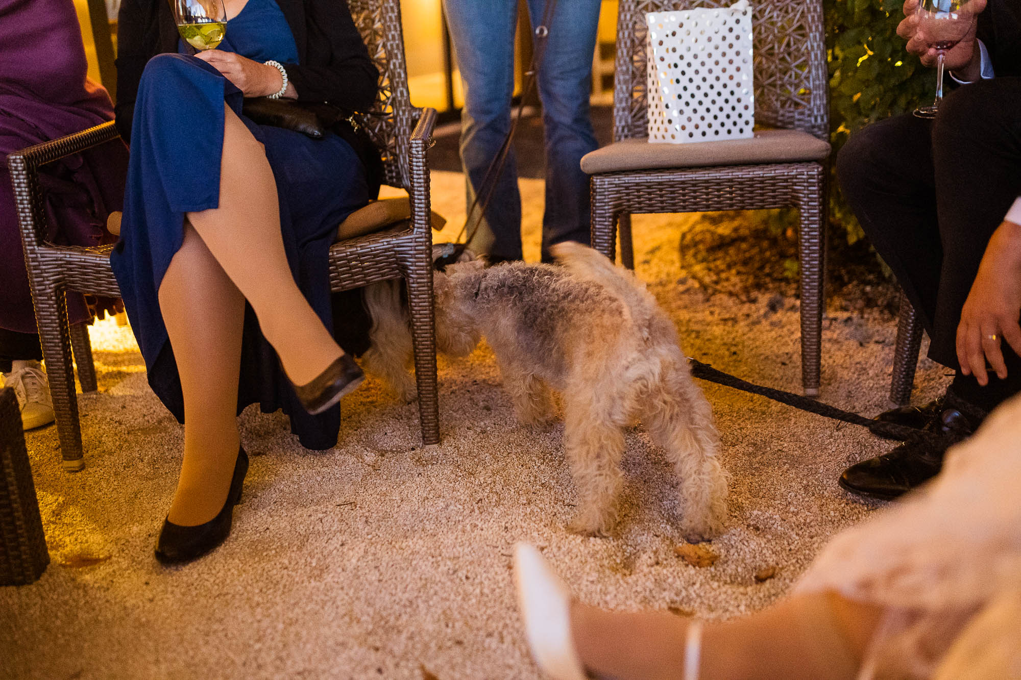 Export x3 R3  9085 acceped