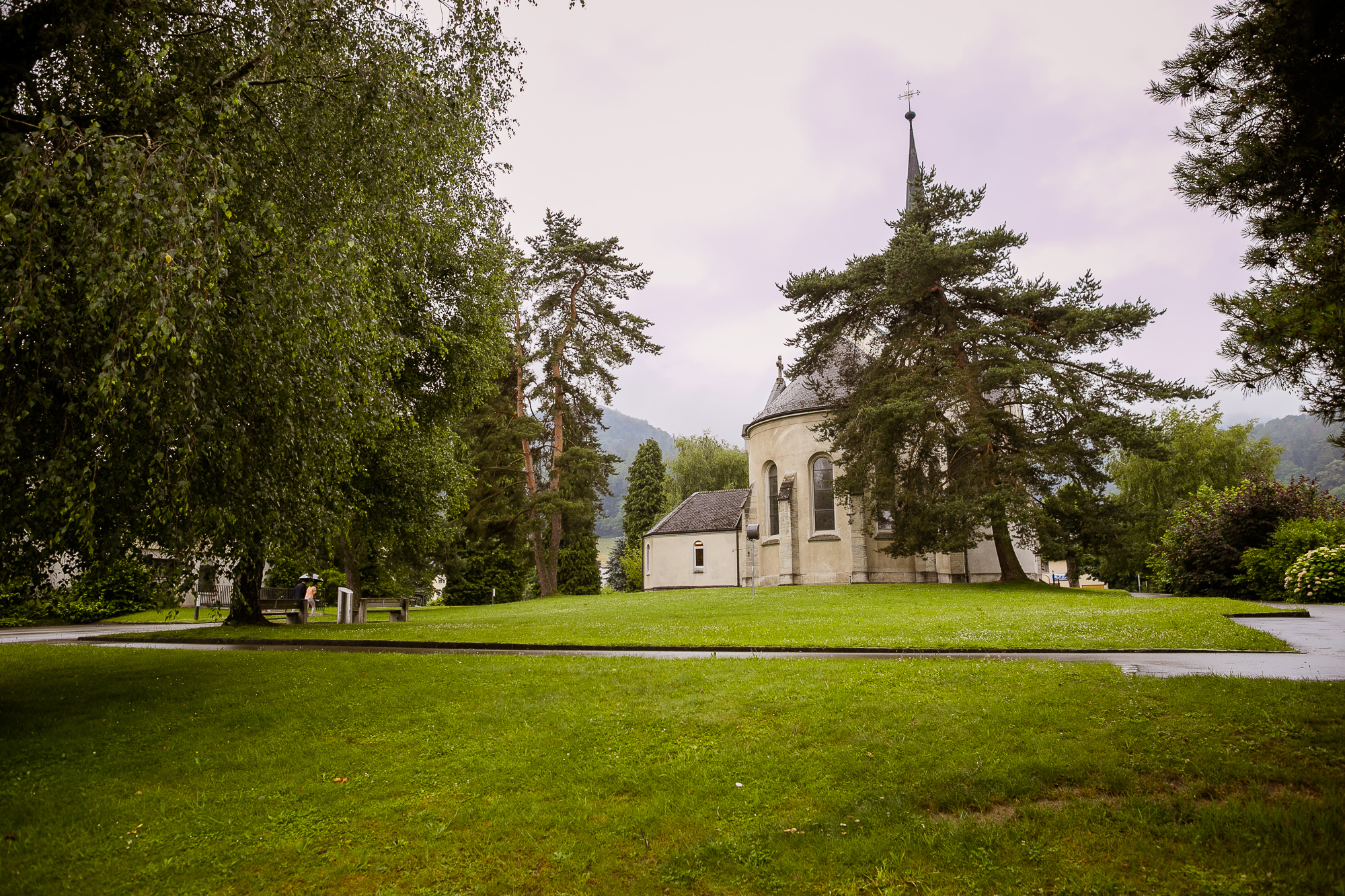 Export x3 1DX23546 Raw