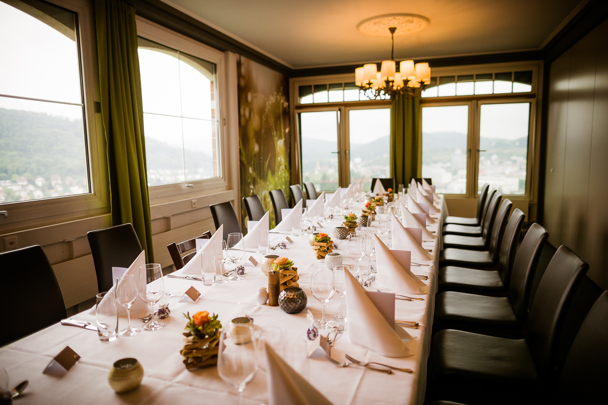 Export x3 1DX24011 Raw