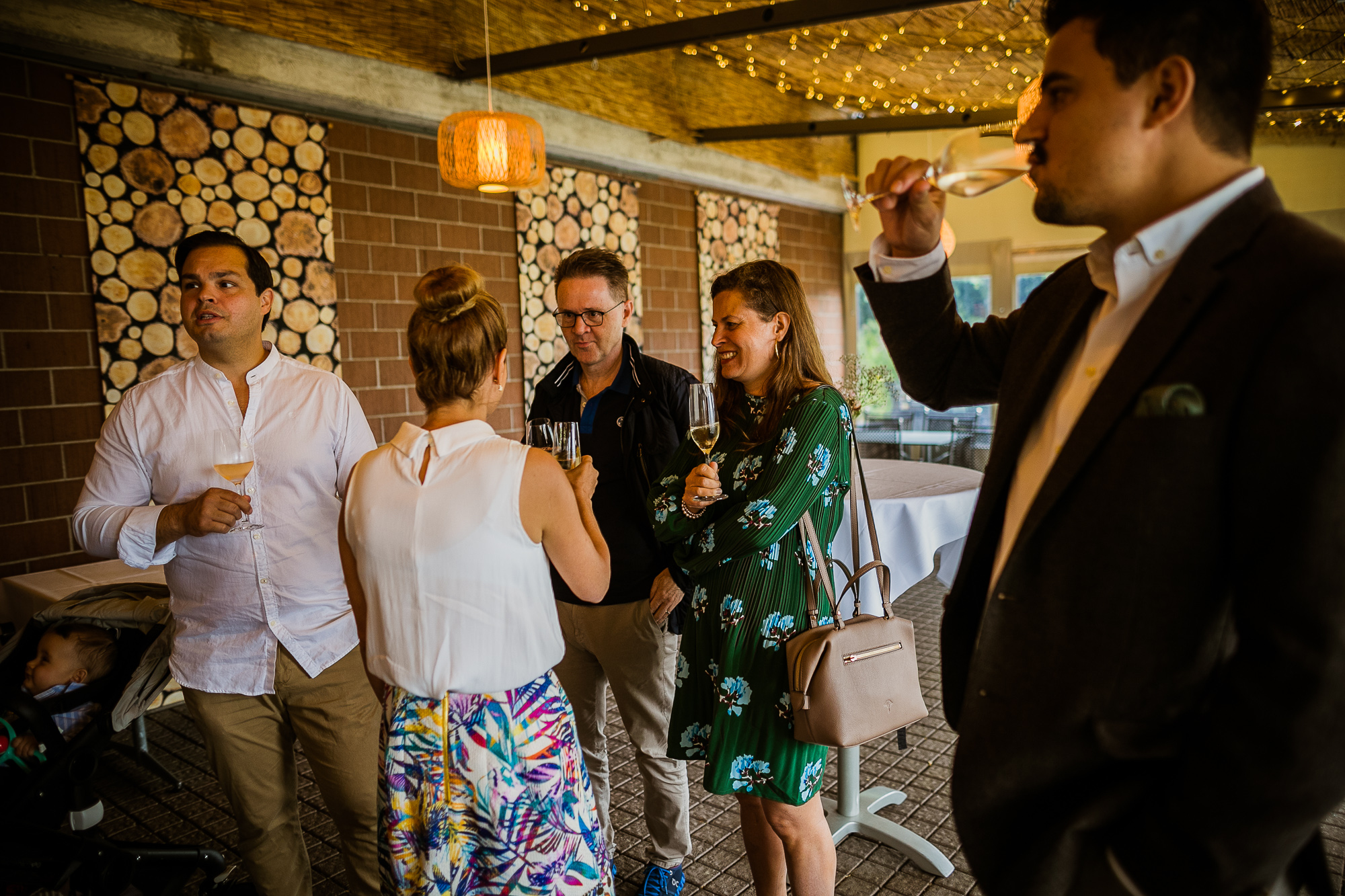 Export x3 1DX24020 Raw