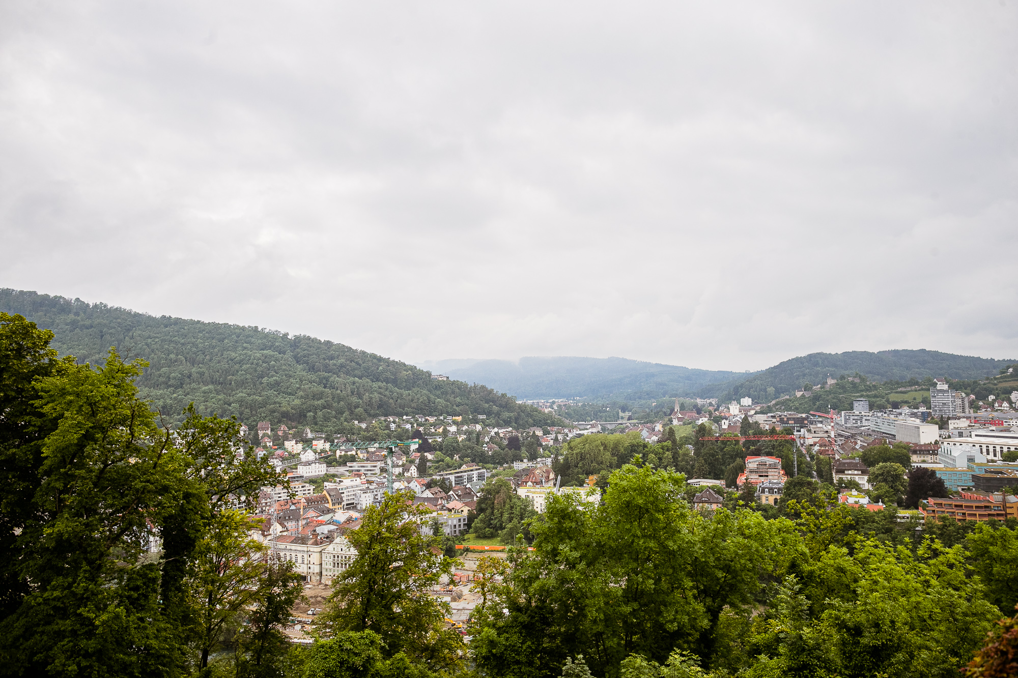 Export x3 1DX24040 Raw