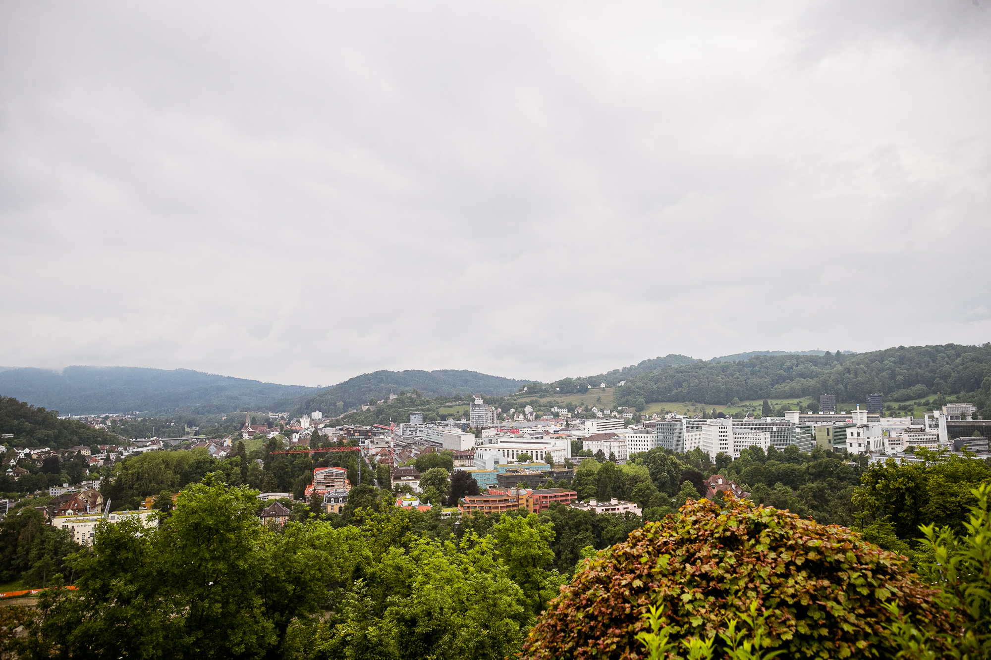 Export x3 1DX24041 Raw