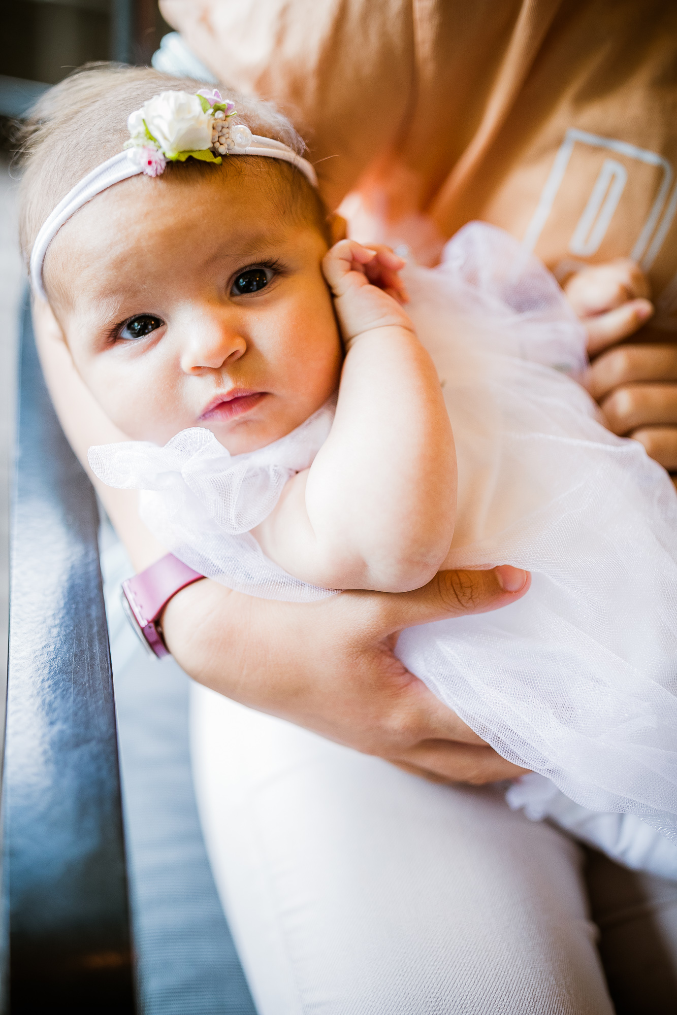 Export x3 1DX24103 Raw