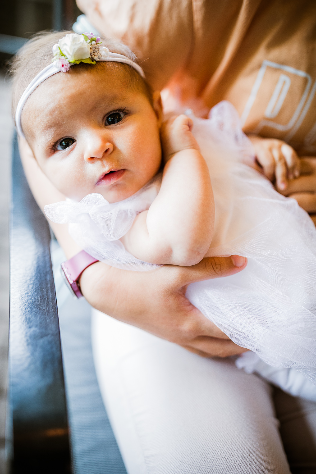 Export x3 1DX24104 Raw